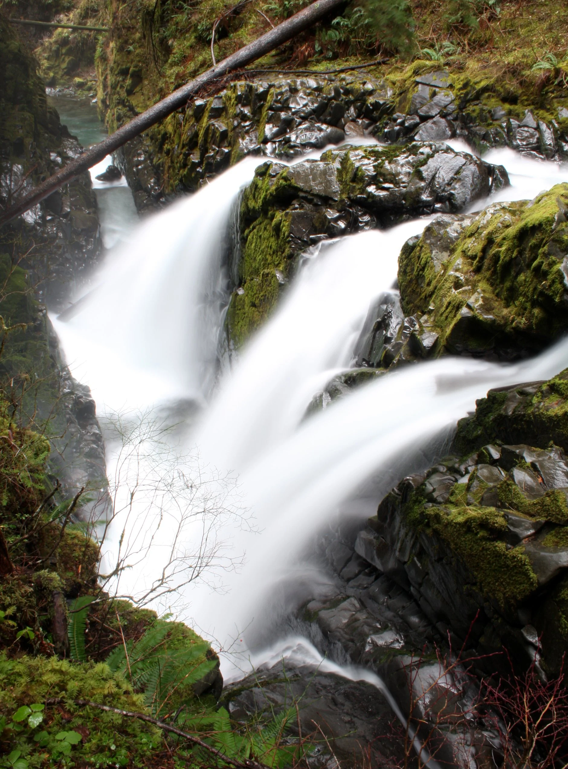 SOL DUC FALLS AND FOREST - ONP WA (51).JPG