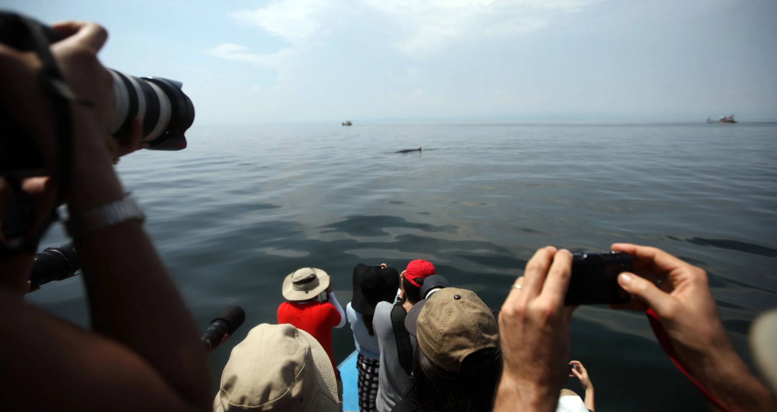 2014 Amphawa Trip to See Whales from Baan Taboon (45).JPG