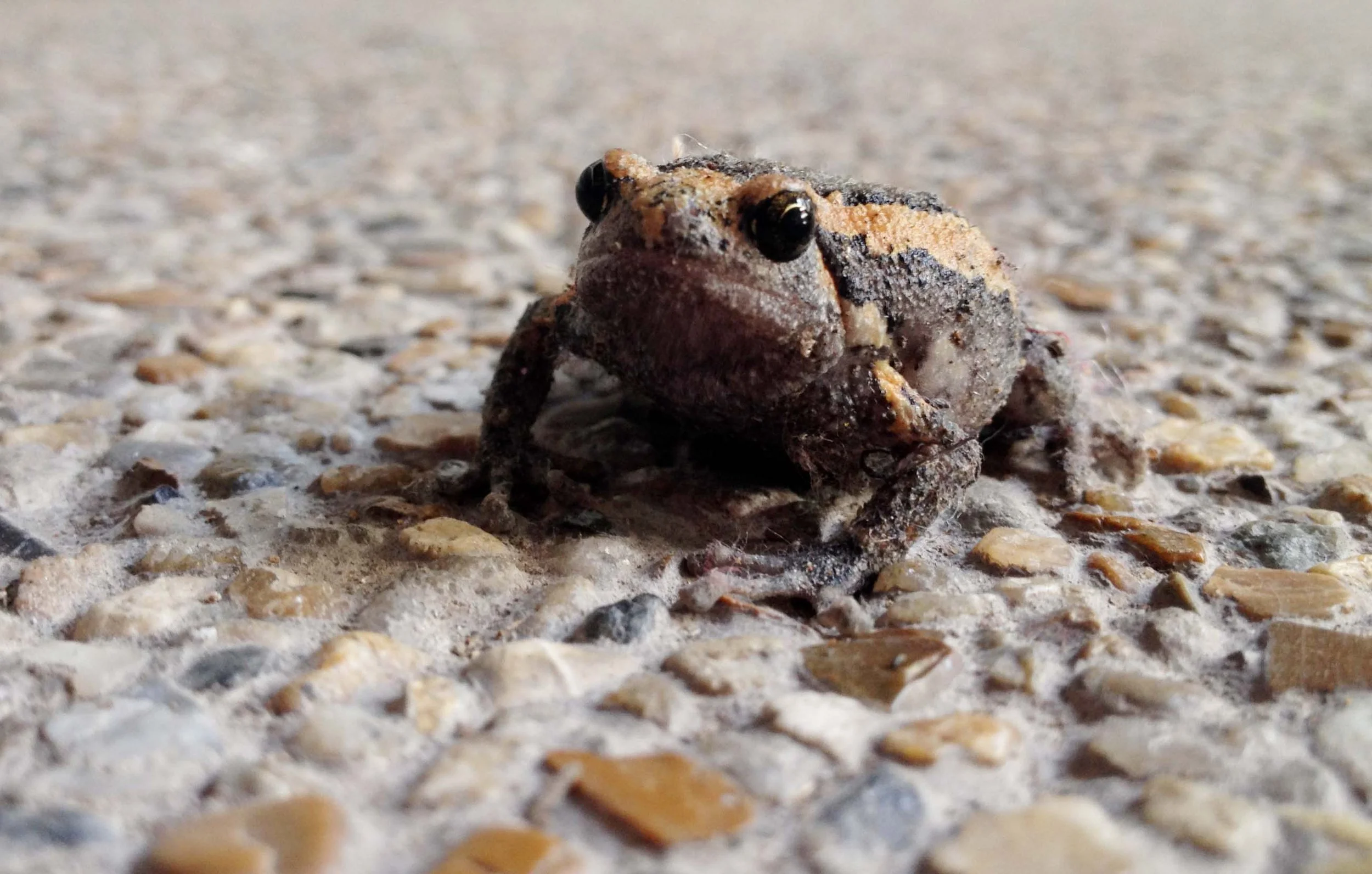 BANGKOK - NOVEMBER 2013 - MARCH 2014 (273).JPG