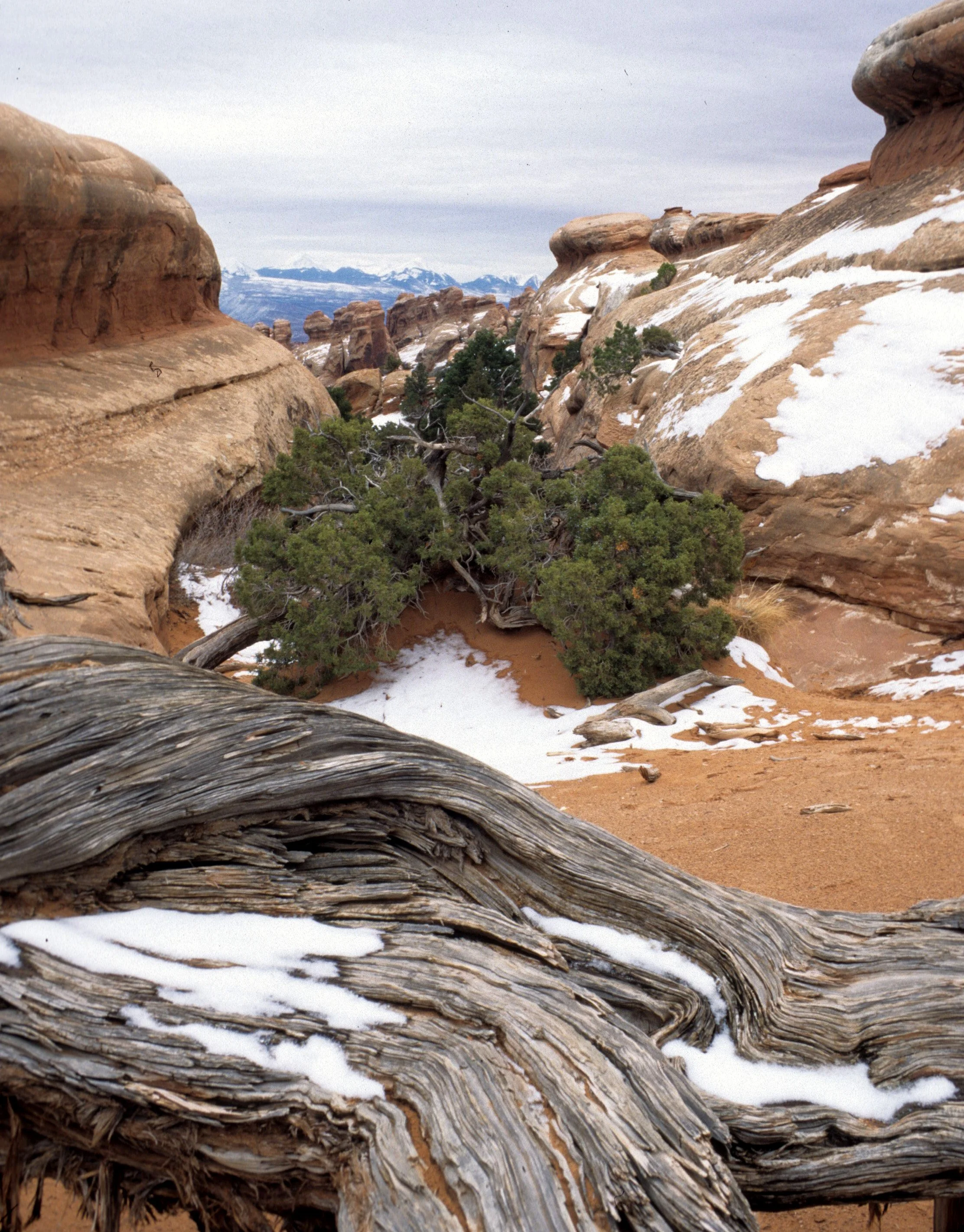 UTAH - ARCHES NP.jpg