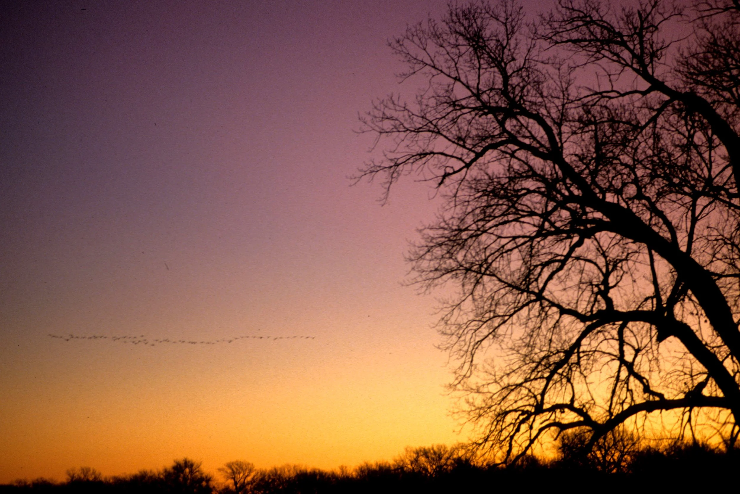 GREAT PLAINS - NEBRASKA SUNRISE B.jpg