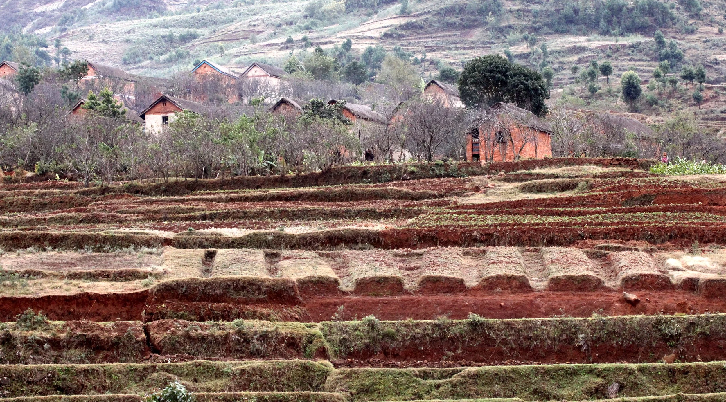 CENTRAL HIGHLANDS - ROAD TO RANOMAFANA (29).JPG
