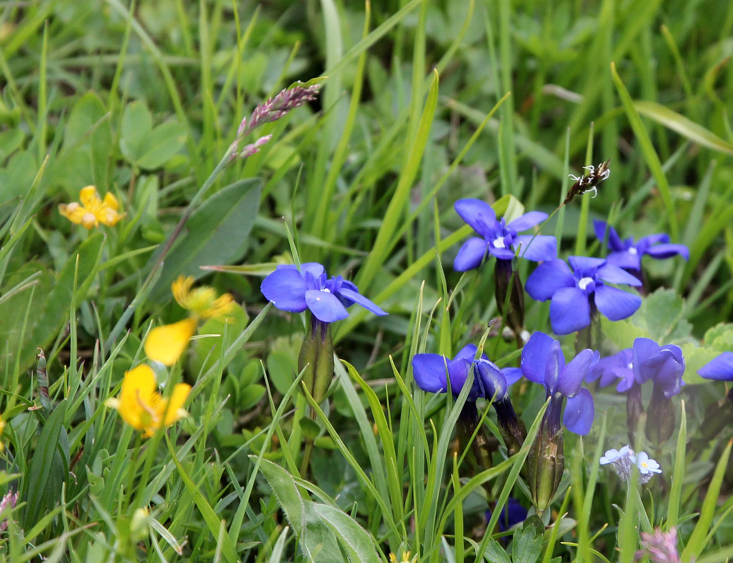 STELVIO NATIONAL PARK ITALY (130).JPG