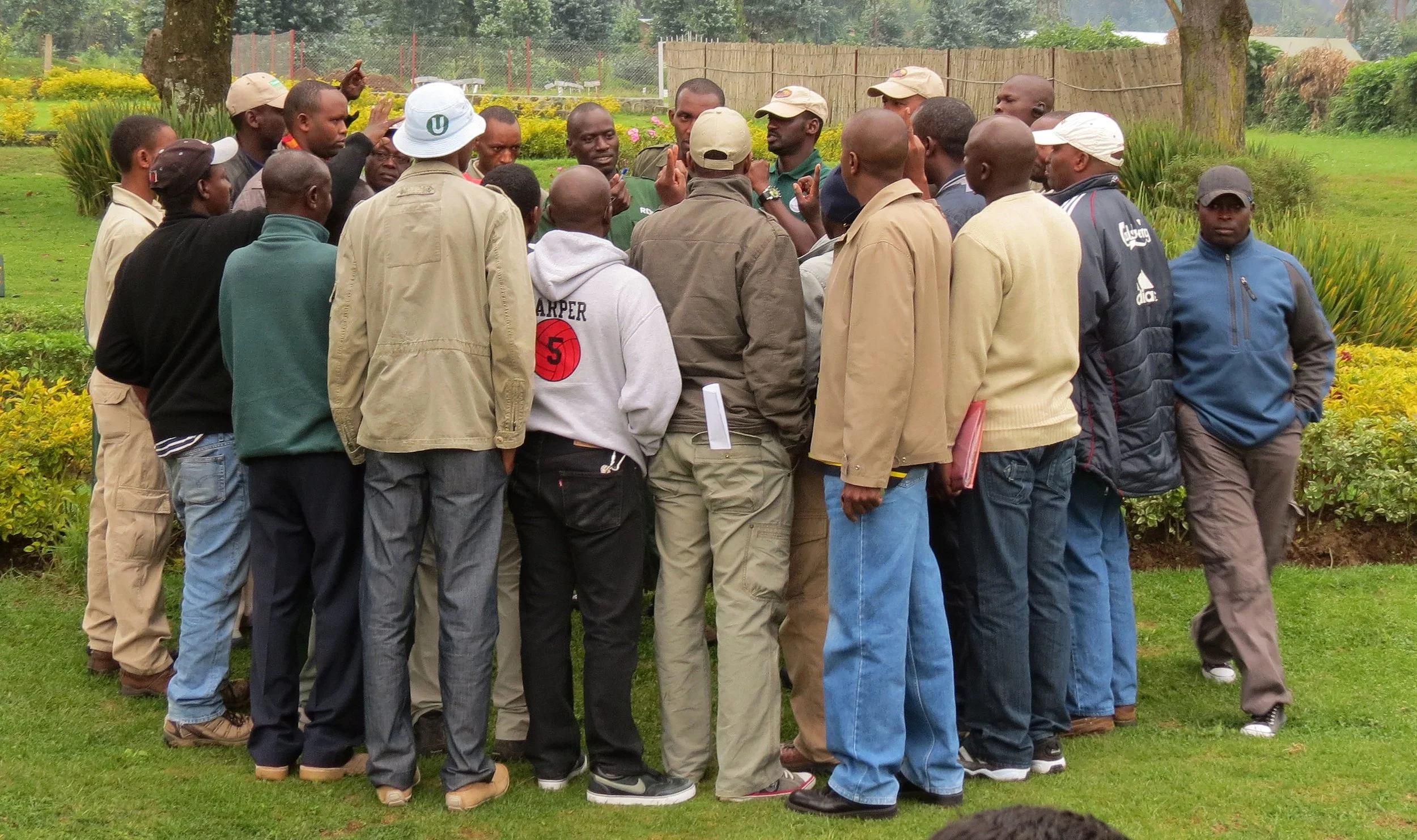 PARC DU VULCANS RWANDA (12).JPG