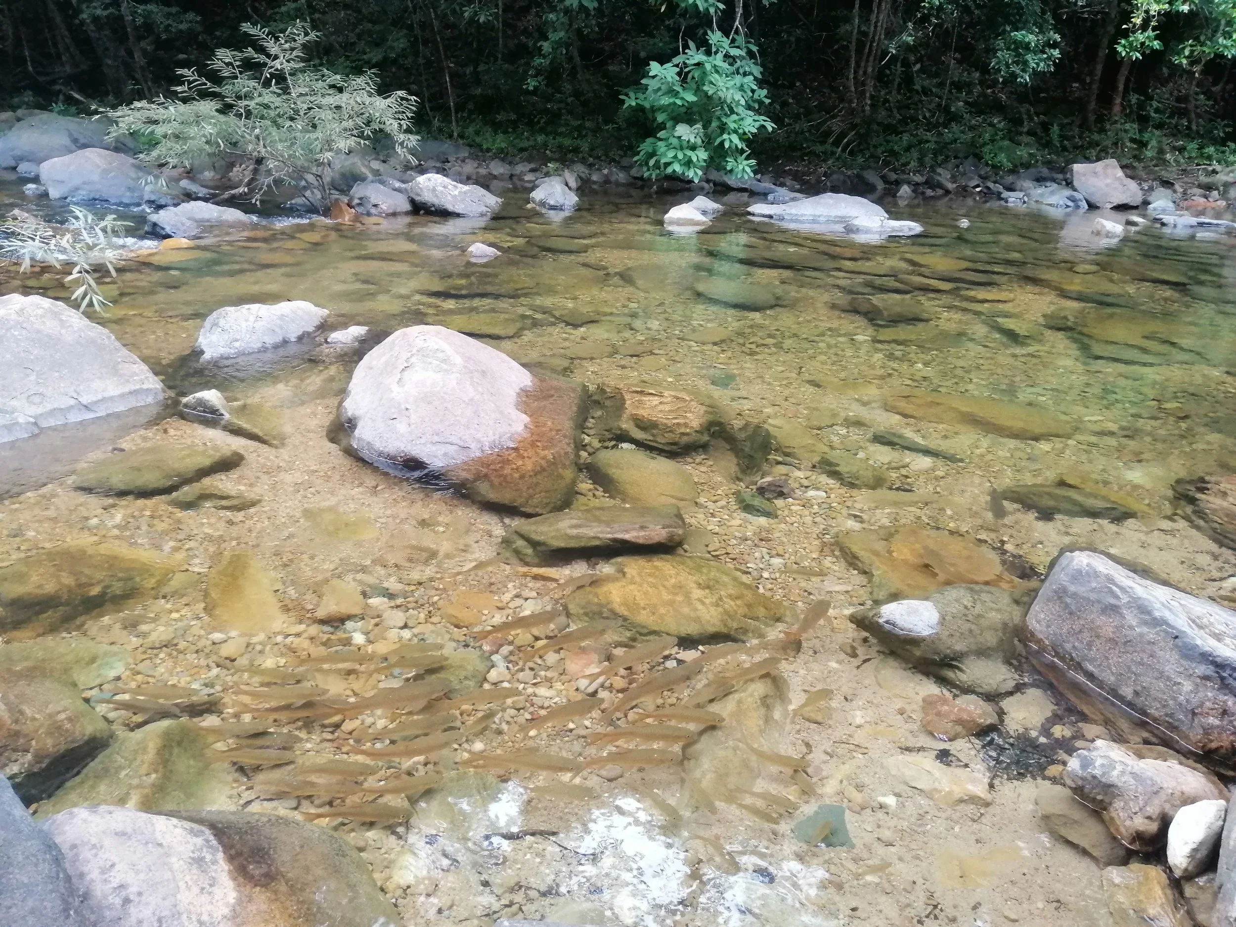 2019 Koh Chang Summer Road Trip (30).jpg