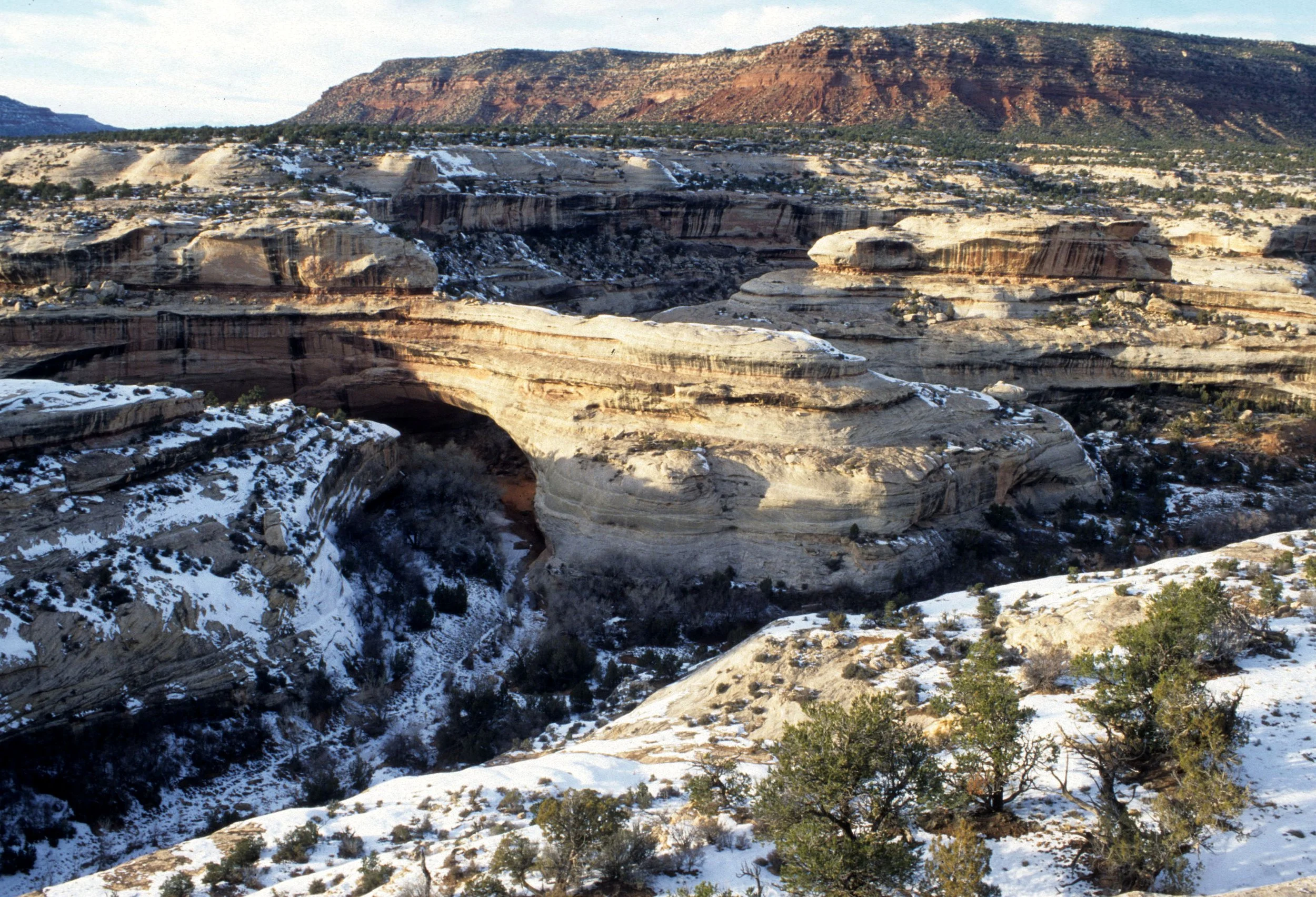 UTAH - NATURAL BRIDGES NM.jpg