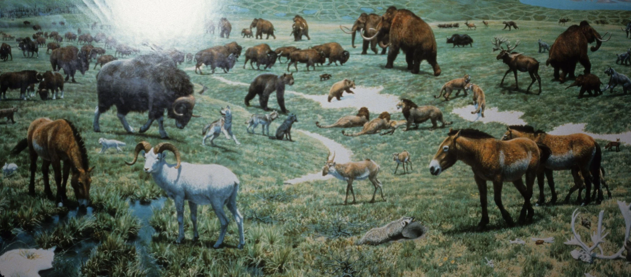 ALASKA - PREHISTORIC FAUNA.jpg