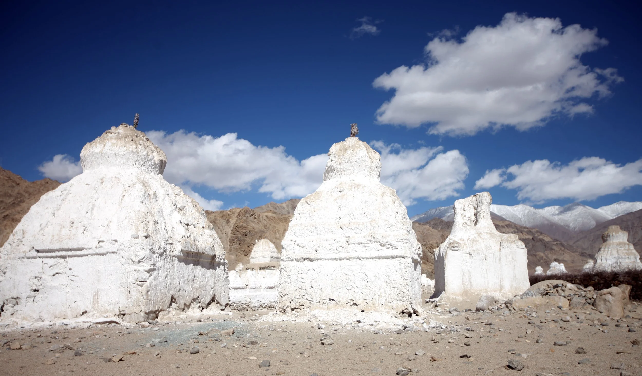 LEH - THIKSEY MONASTERY - LADAKH INDIA - SNOW LEOPARD TRIP 2013 (56).JPG