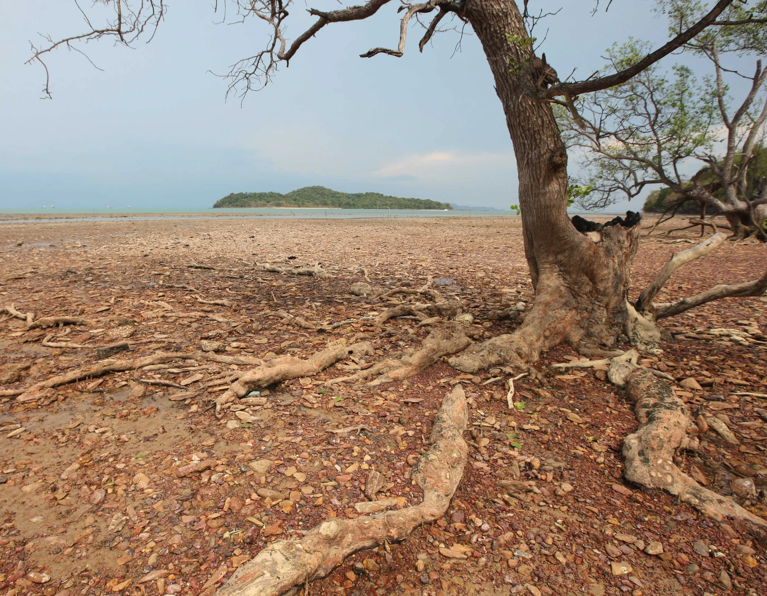 2015 Koh Lanta Songkran with friends from ISB (89).JPG