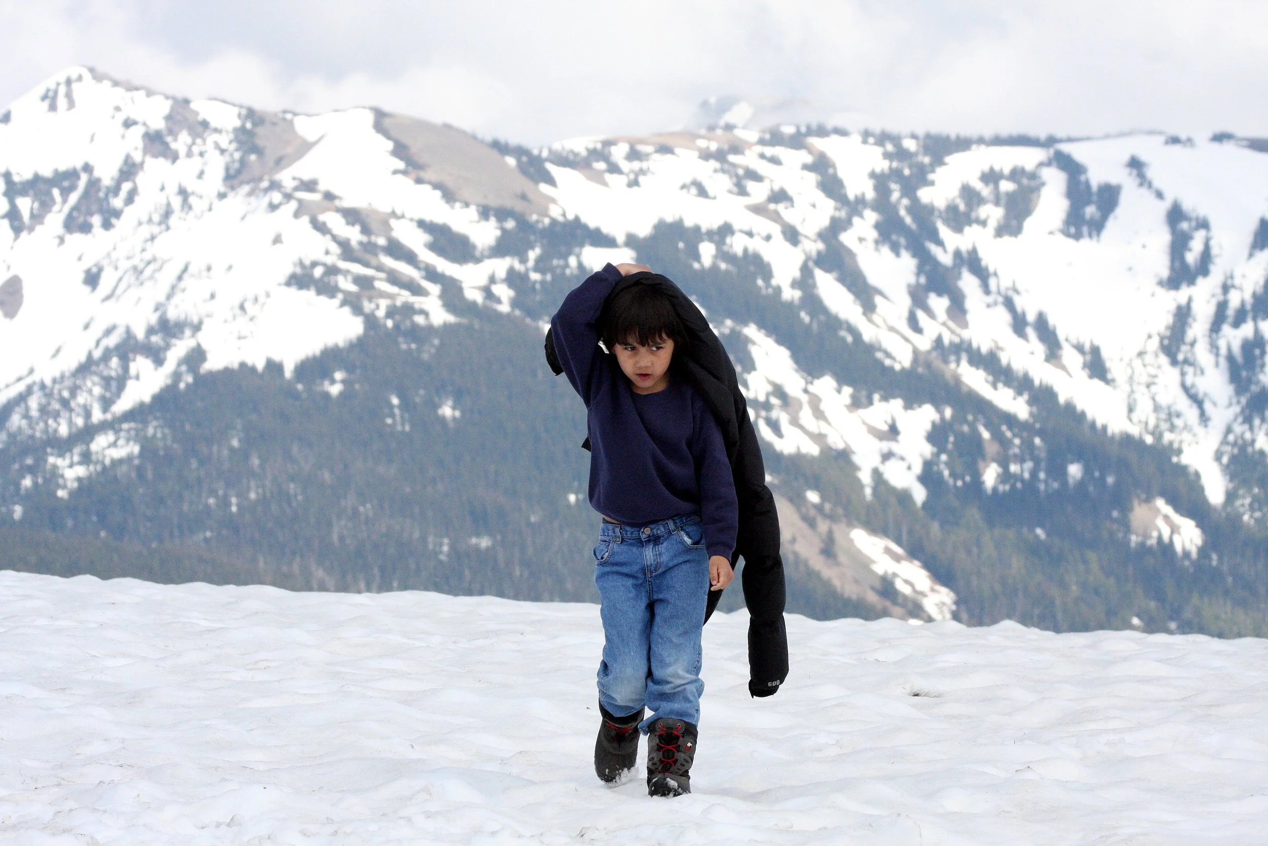 2008-5-31 COKIE WALKING HURRICANE RIDGE.JPG