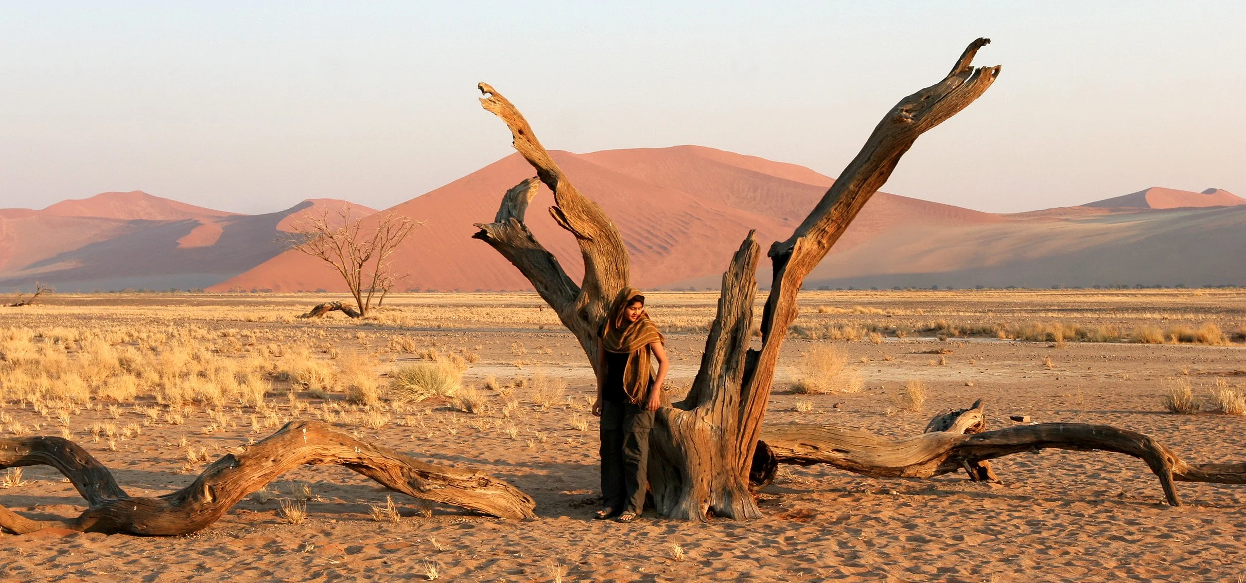 NAMIBIA - SOSSUSVLEI - DUNES - NAMIBIA (21).JPG