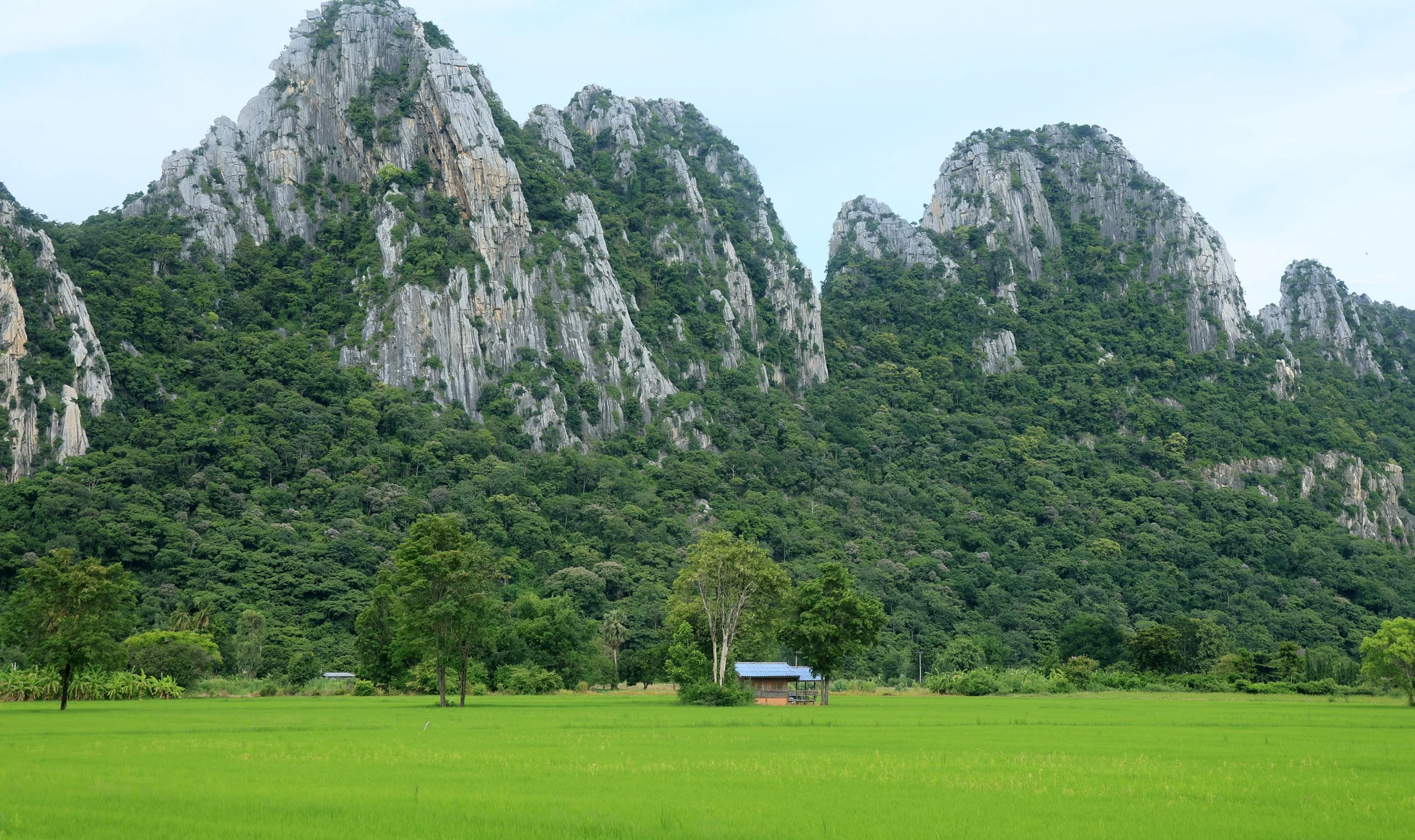 Khao Nor Khao Kaew Bat Viewing Nakhon Sawan (33).jpg