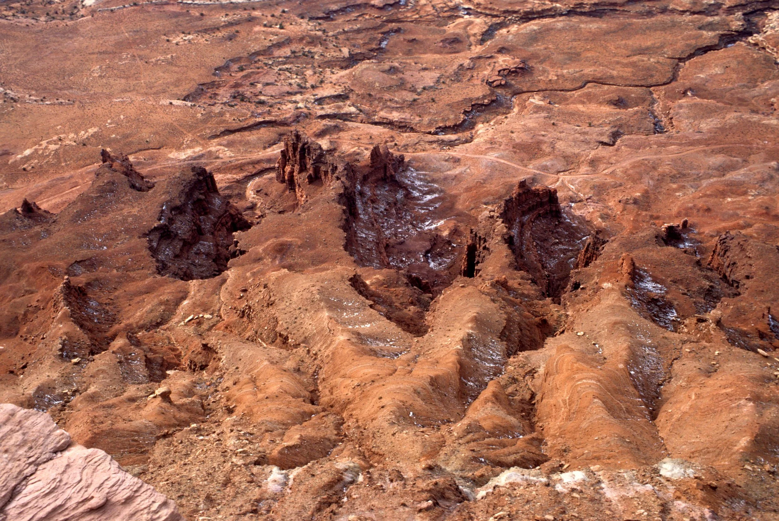 UTAH - CANYONLANDS NP Z.jpg