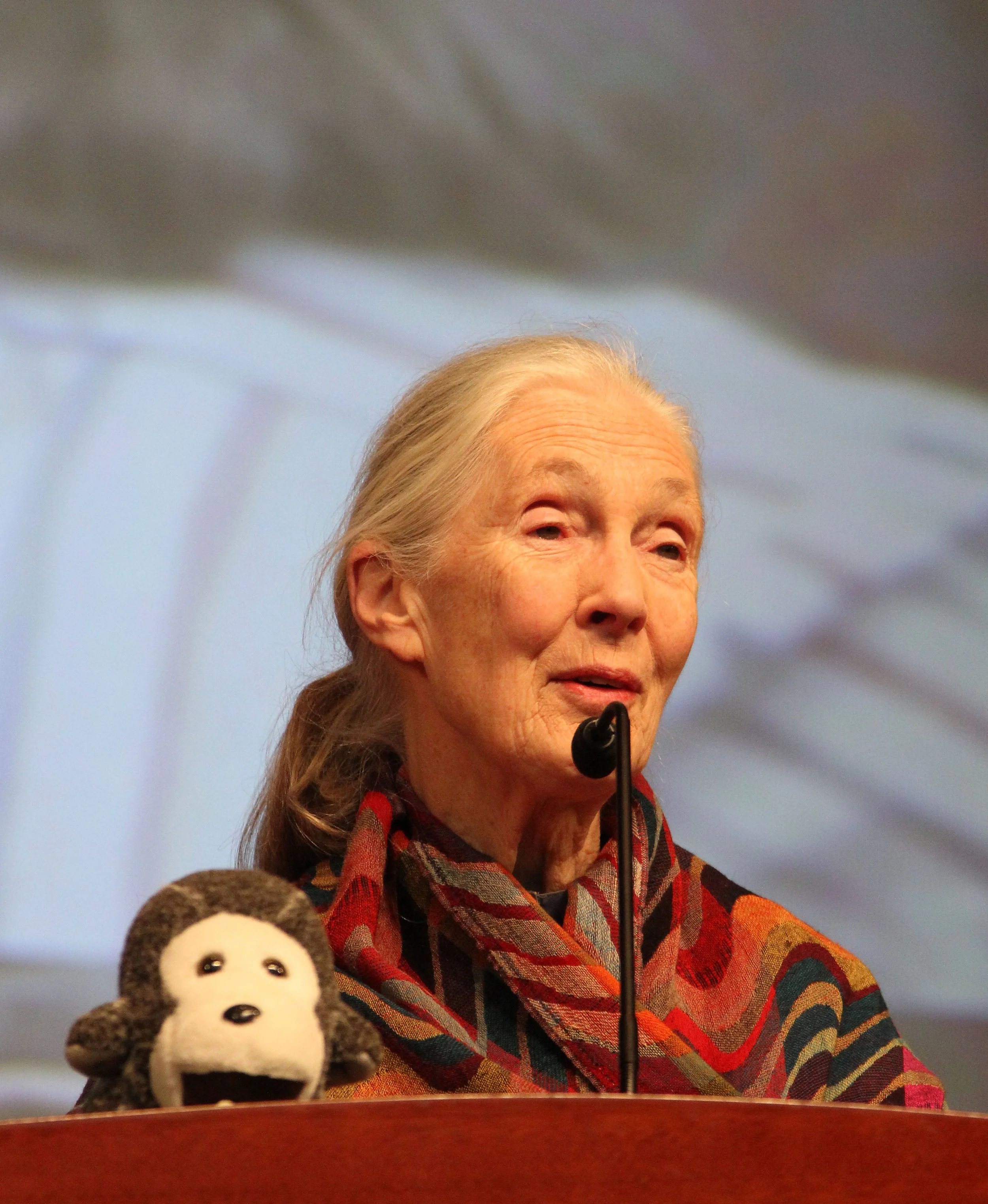JANE GOODALL 2012 (2).JPG