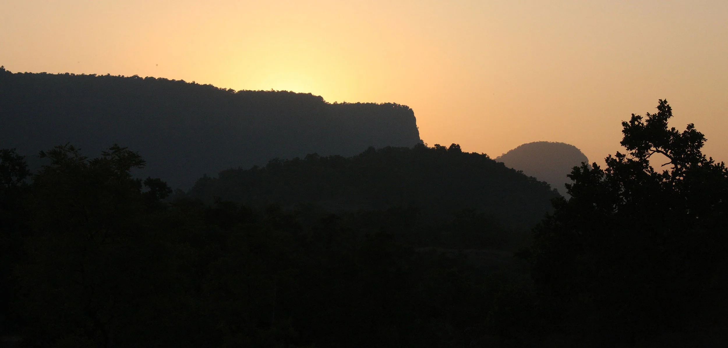 MADHYA PRADESH - BANDHAVGAR NATIONAL PARK MADHYA PRADESH INDIA (4).JPG
