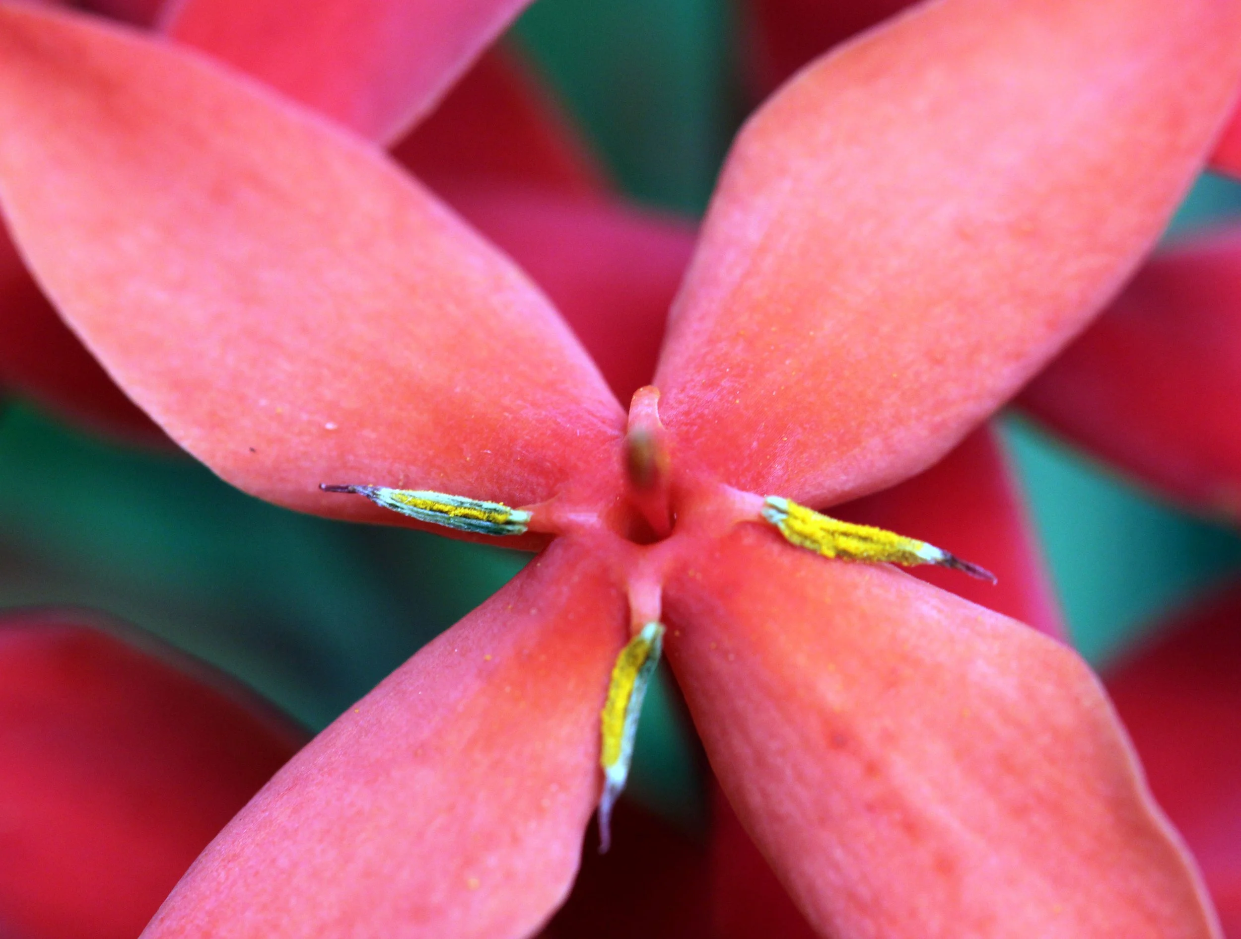 2013 Cha'am and Petchaburi with Family & Friends (5).JPG