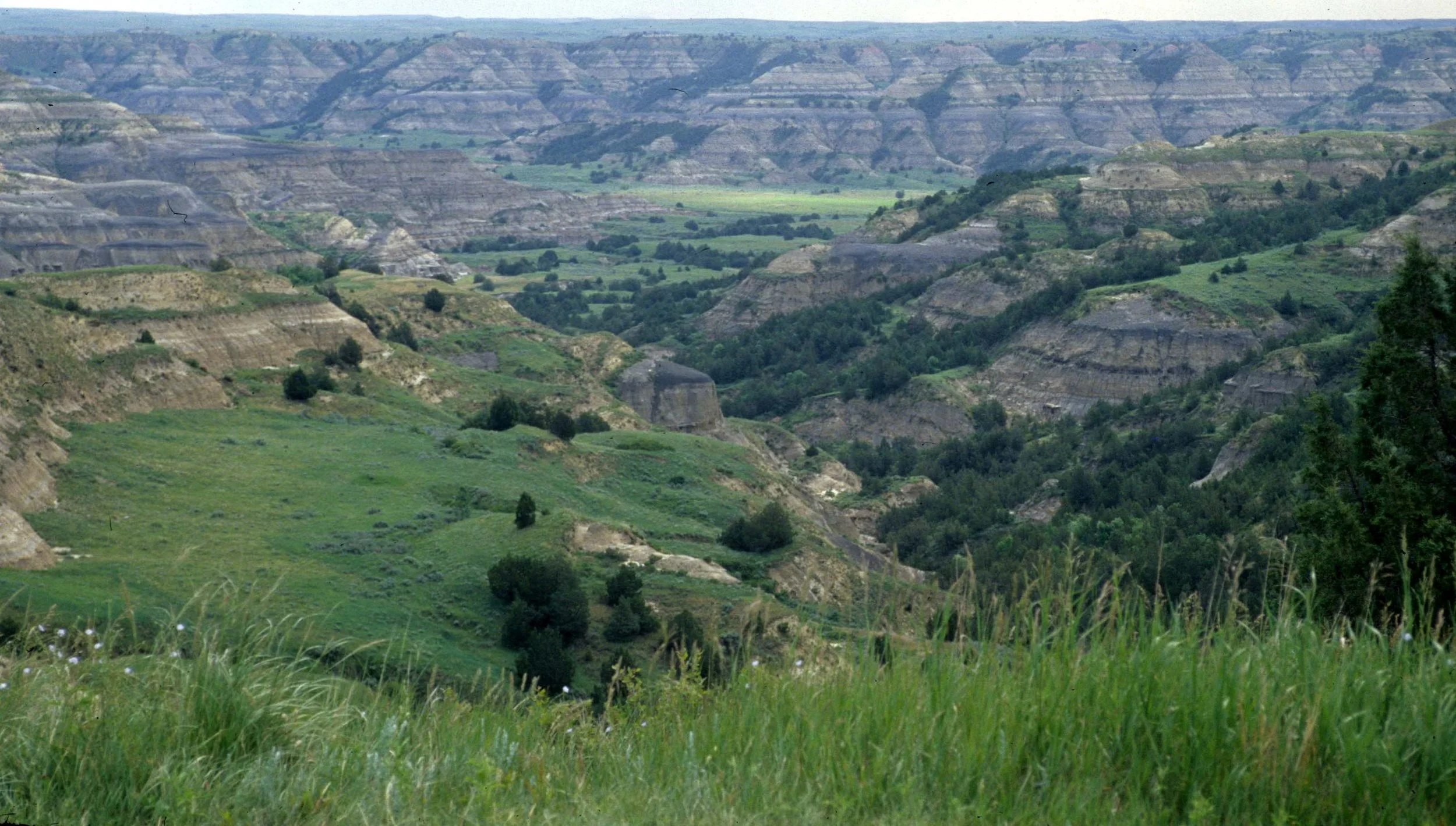 GREAT PLAINS - THEODORE ROOSEVELT NP B.jpg
