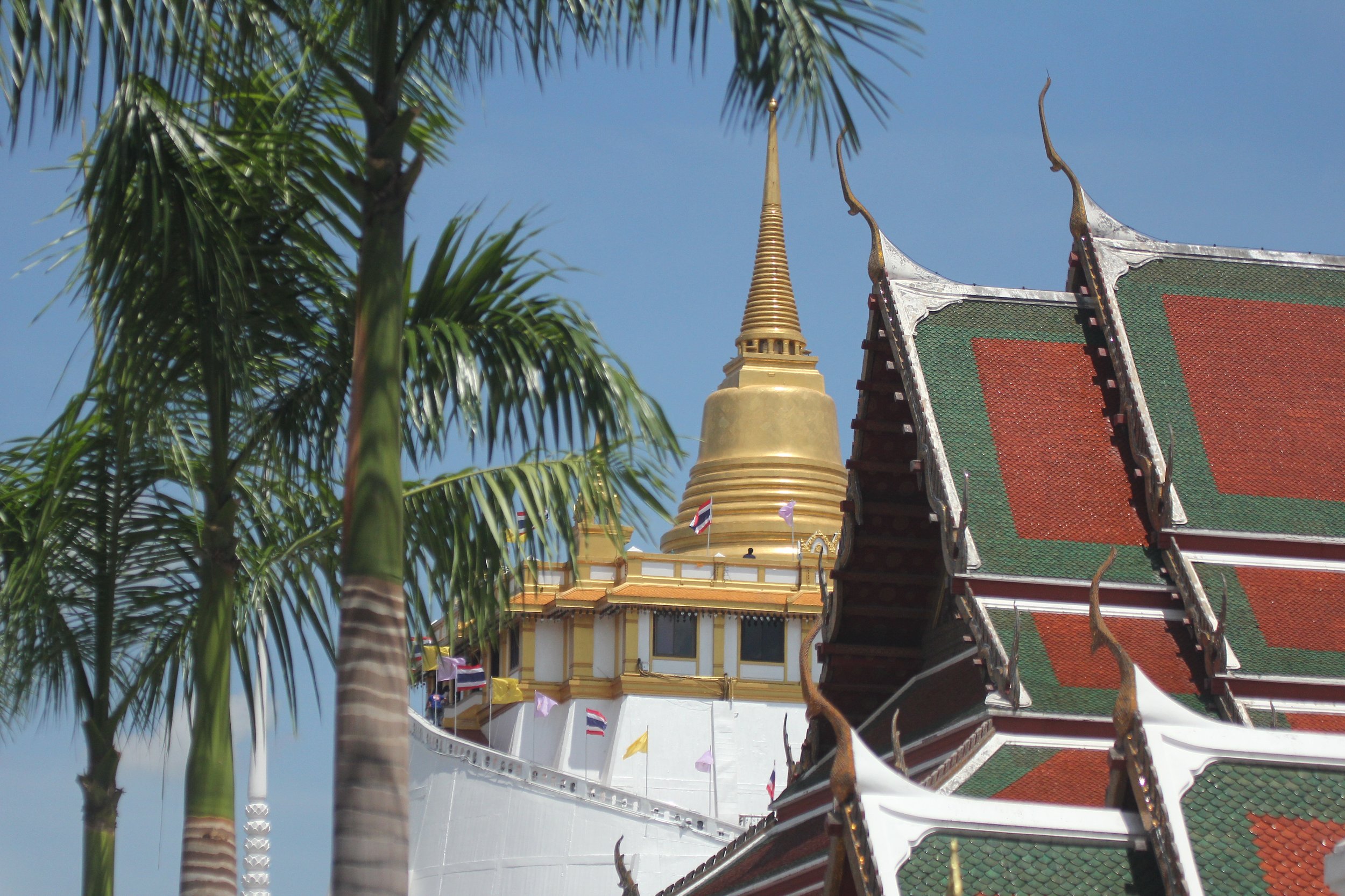 2020 - Ayutthaya Cokie's Pictures (2).JPG