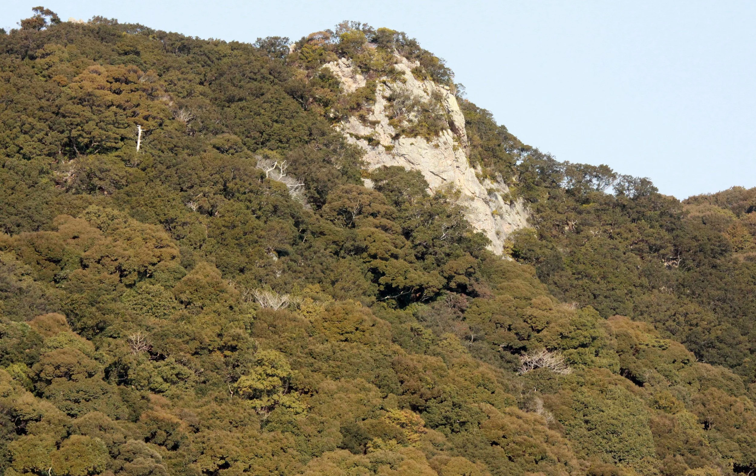 TOBA HARBOR JAPAN (7).JPG