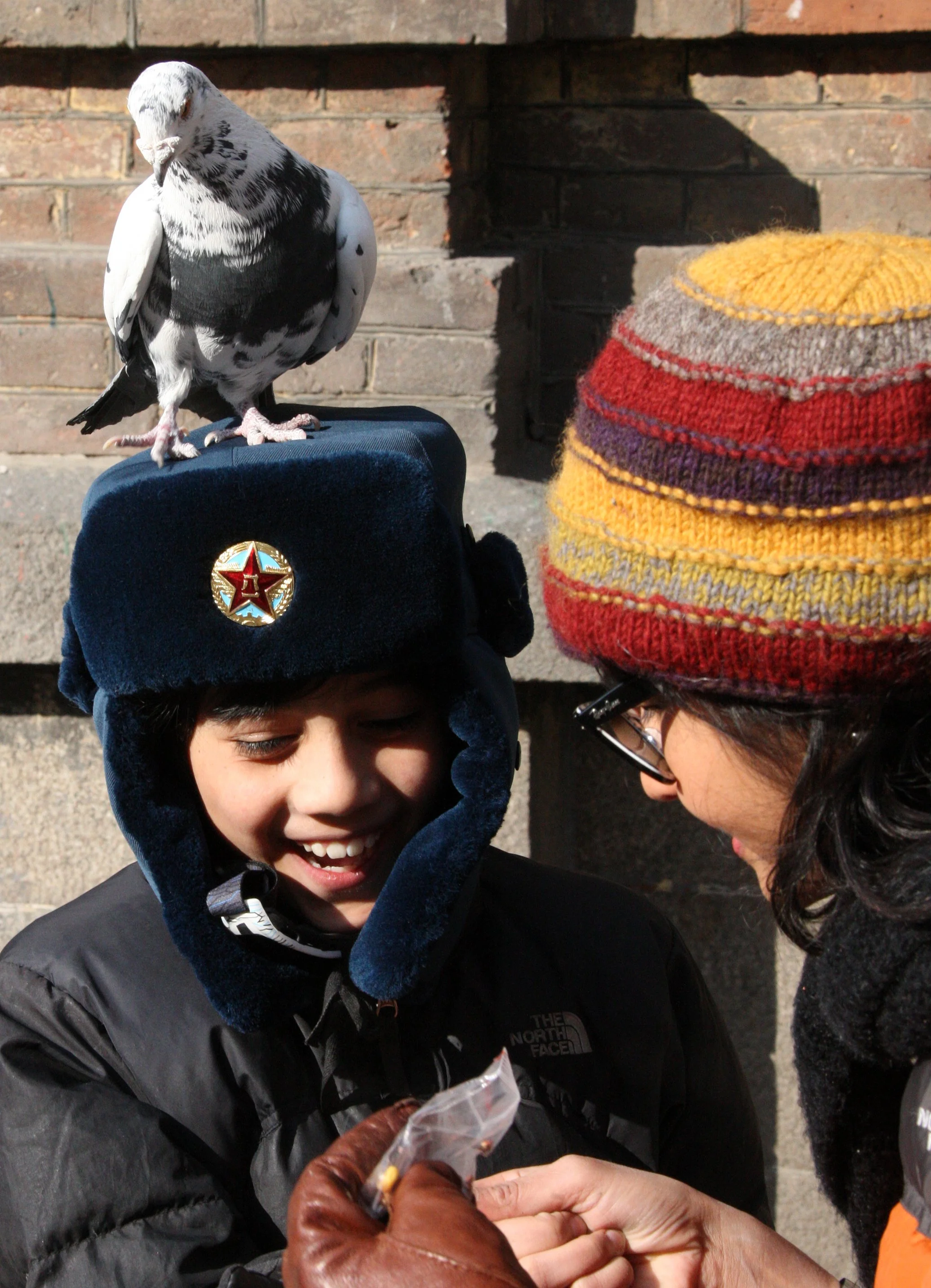 BIRD - PIGEON - HARBIN SAINT SOPHIA'S CATHEDRAL CHINA (49).JPG