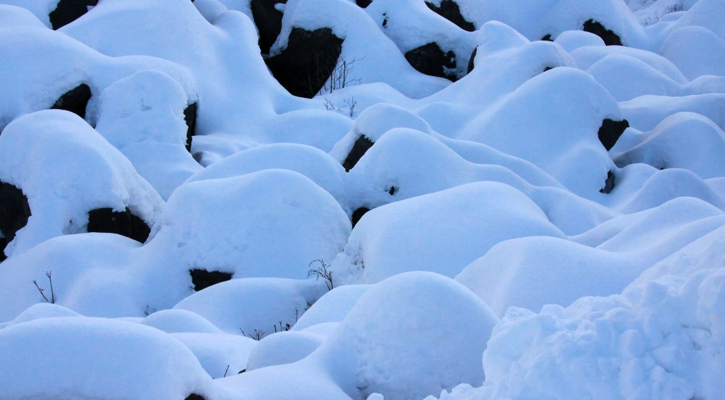 MOUNT ASAMA - JOSHIN'ETSUKOGEN NATIONAL PARK JAPAN (92).JPG