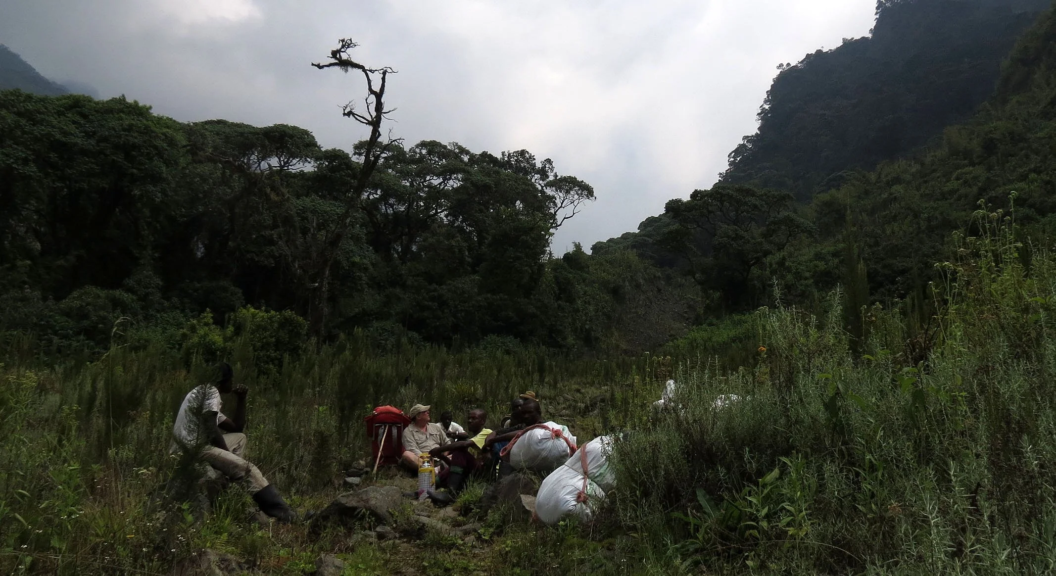 RWENZORI NATIONAL PARK UGANDA (89).JPG