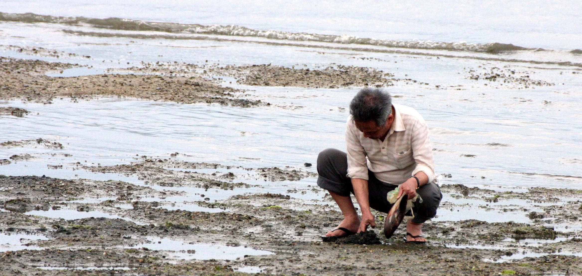 MIYAJIMA - MAY 2009 - SCENES AND LANDSCAPES (23).JPG