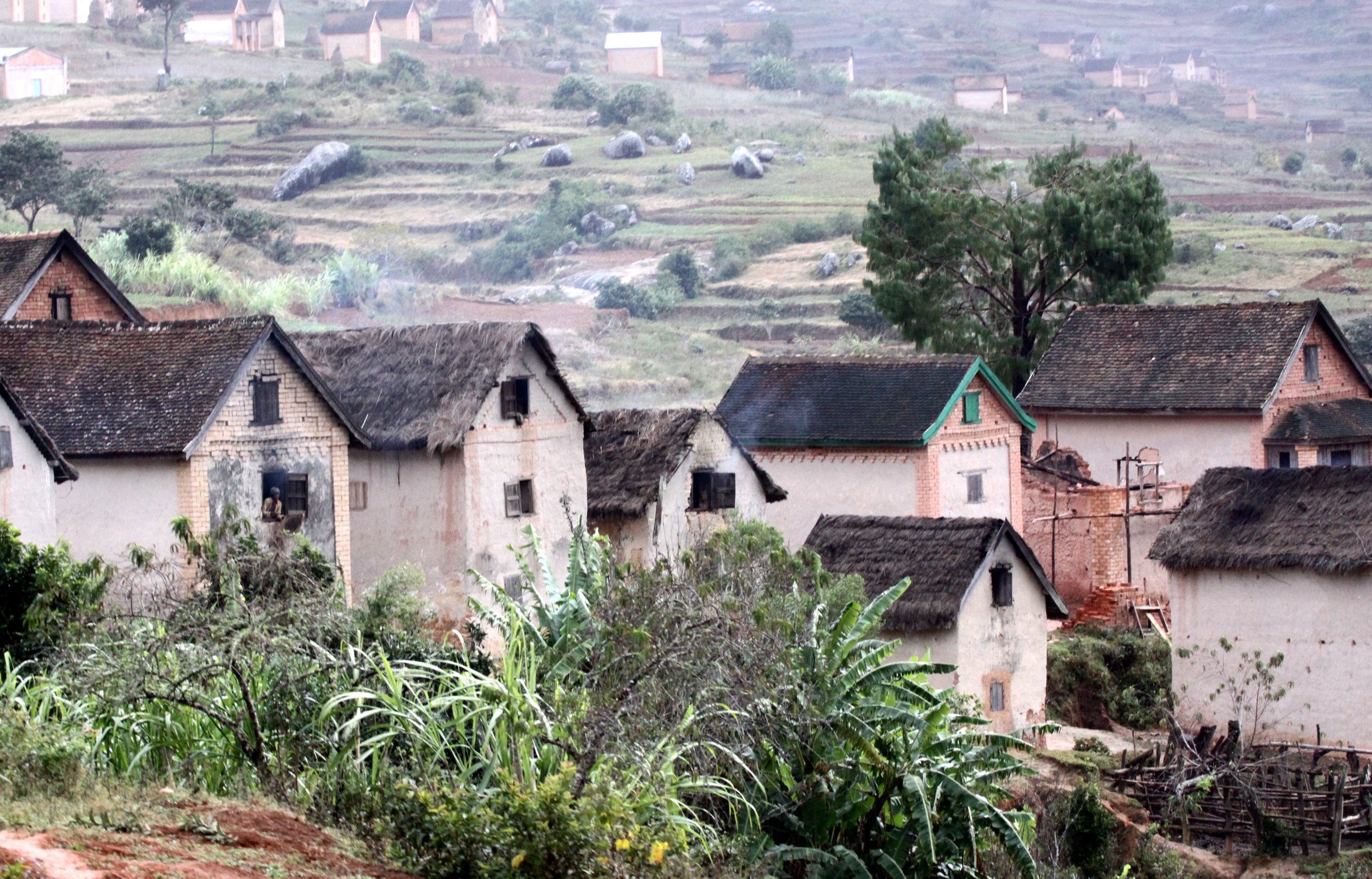 CENTRAL HIGHLANDS - ROAD TO RANOMAFANA (77).JPG