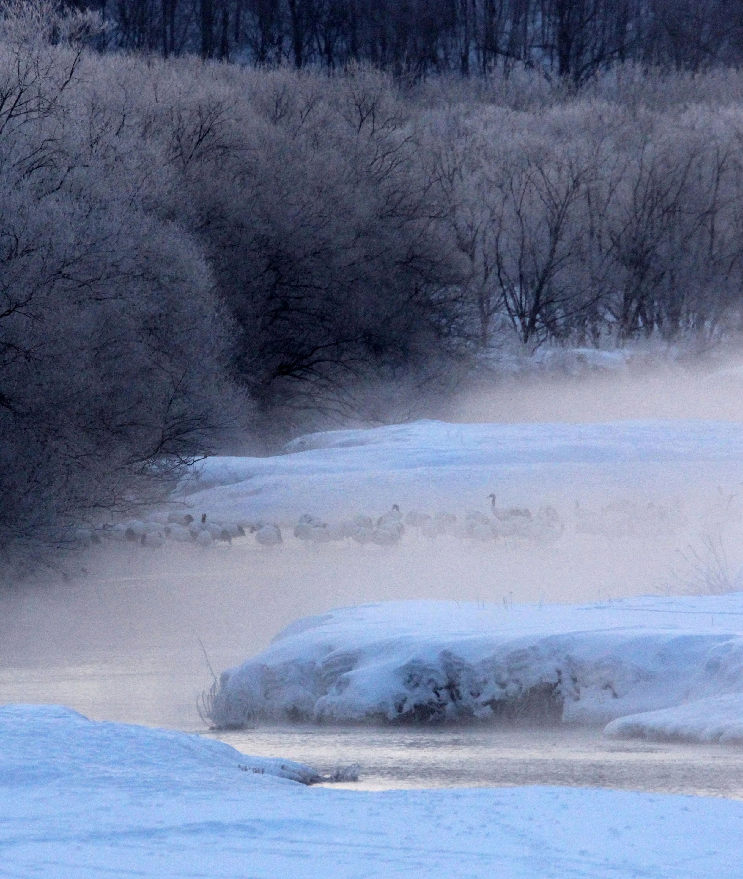 OTOWABASHI SETSUGAWA - TSURUI TOWN - HOKKAIDO JAPAN (2).JPG
