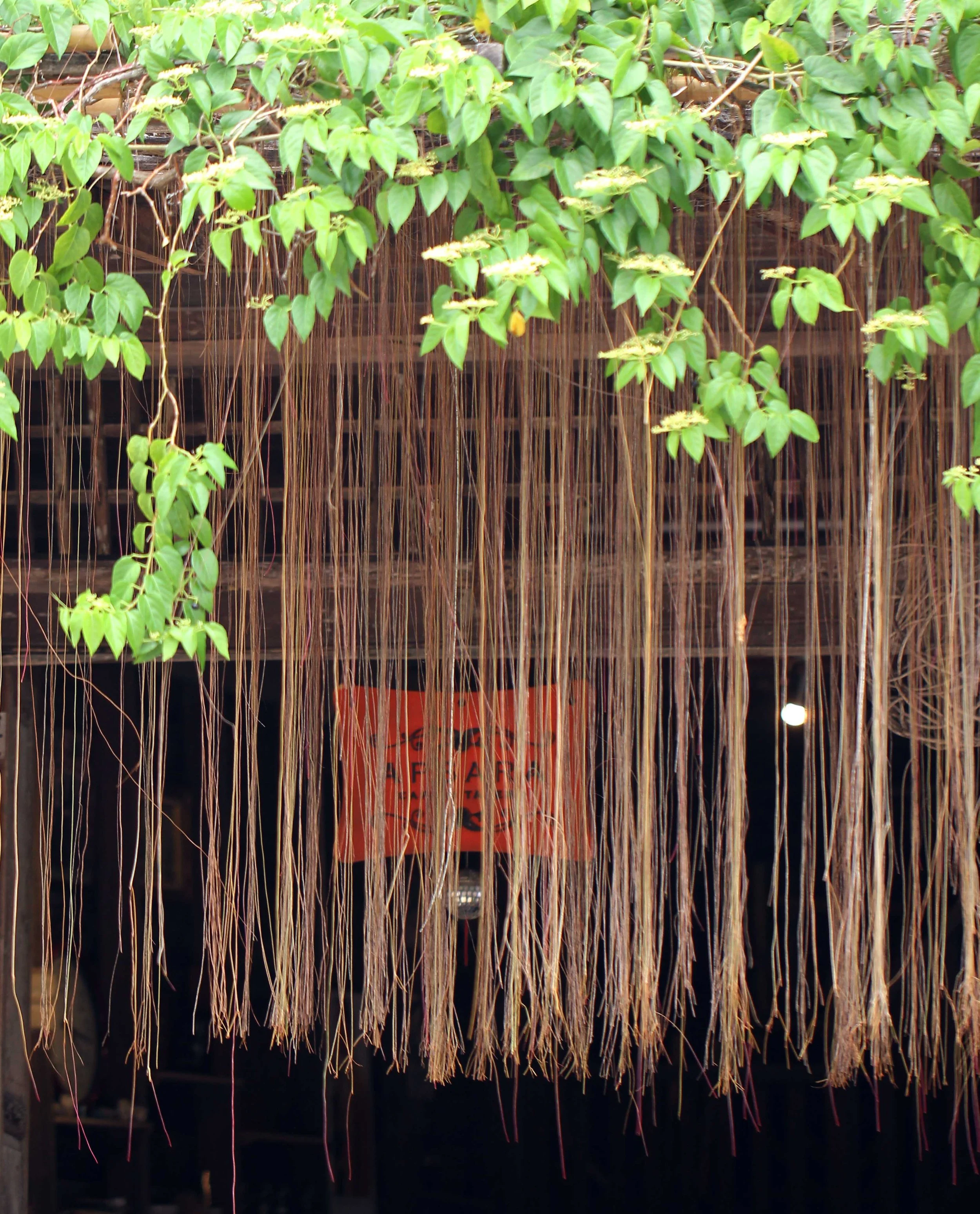 2015 Koh Lanta Songkran with friends from ISB (450).JPG