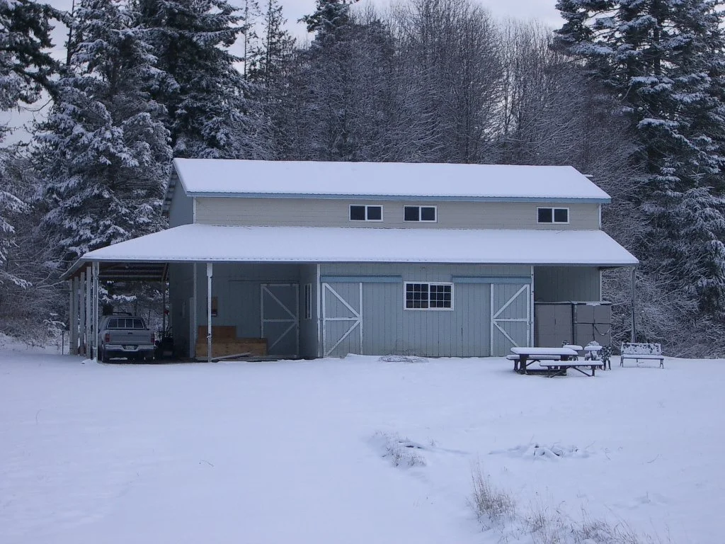 2004-1-3 LAKE FARM IN SNOW (17).JPG