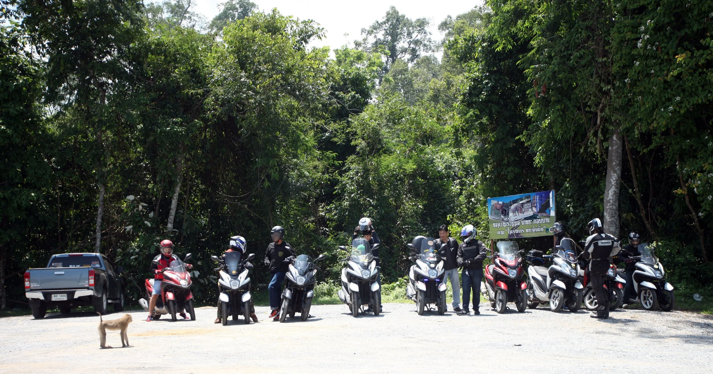 Motocycles are a popular albeit dangerous mode of travel for tourists in the park.