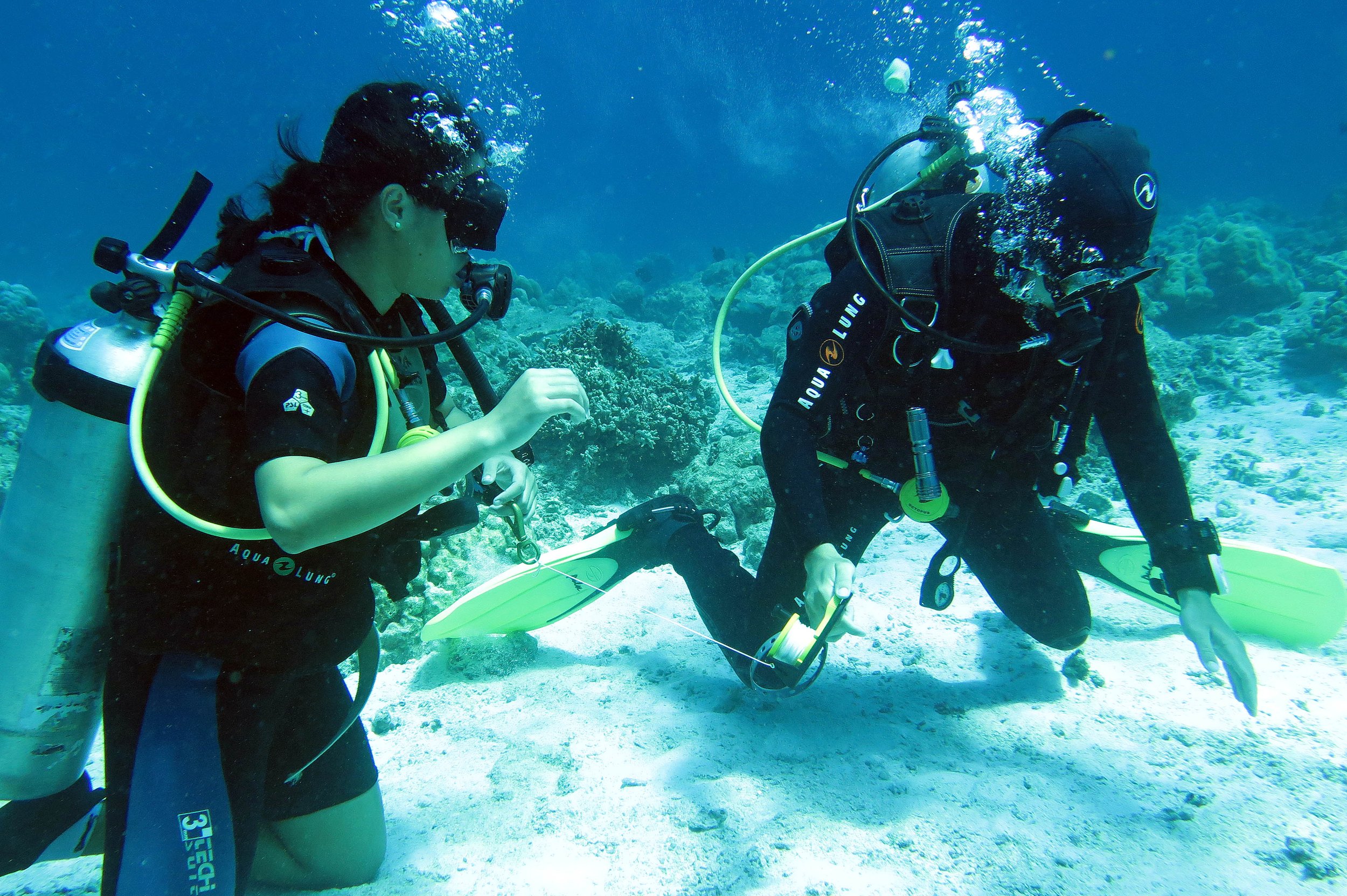 2014 Similan Islands Marine Park Thailand ISB Dive Trip (13).JPG
