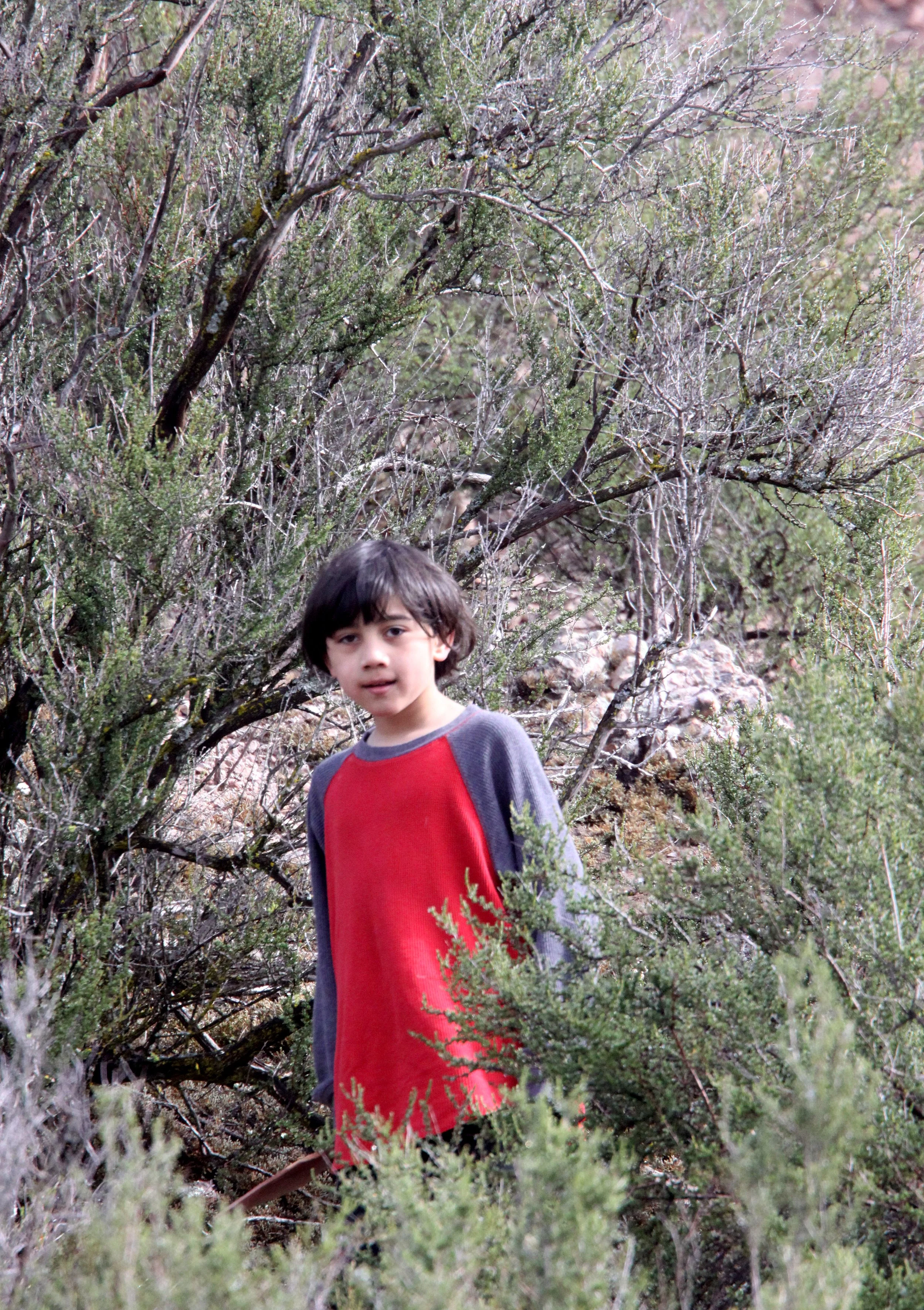 2010-4-3 PINNACLES NATIONAL MONUMENT CALIFORNIA - ROADTRIP 2010.JPG