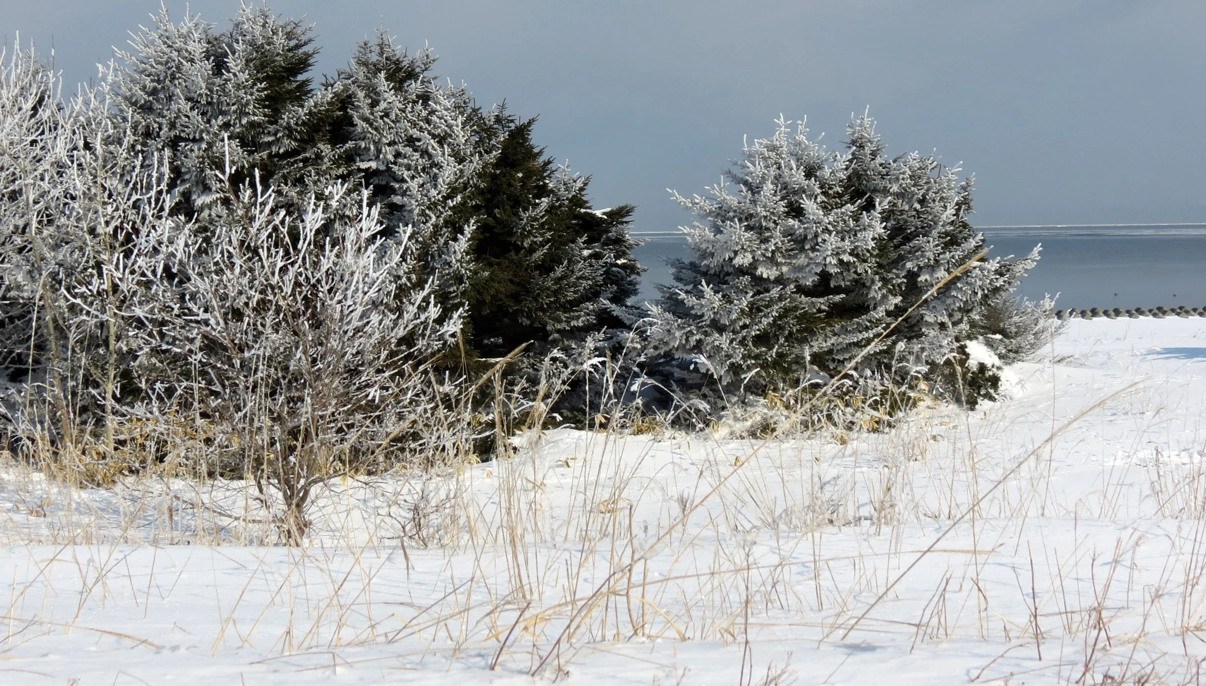 NOTSUKE PENINSULA - HOKKAIDO JAPAN (4).JPG