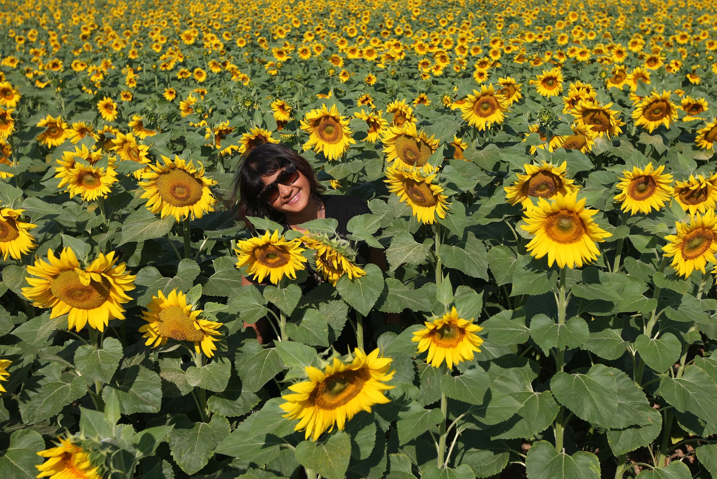 VERCORS NATIONAL PARK FRANCE (78).JPG