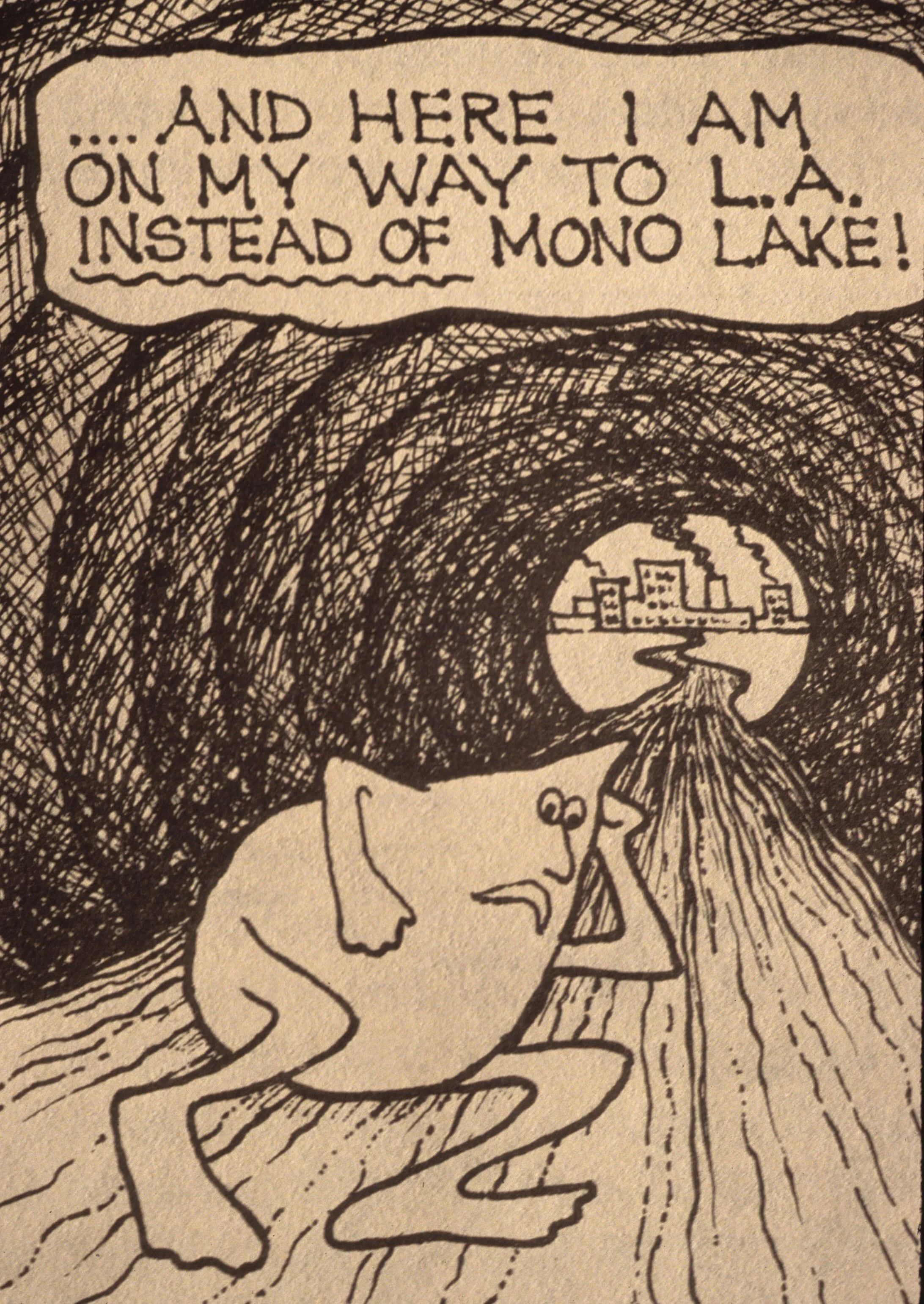 CALIFORNIA - MONO LAKE - LA WATER DIVERSION (2).jpg