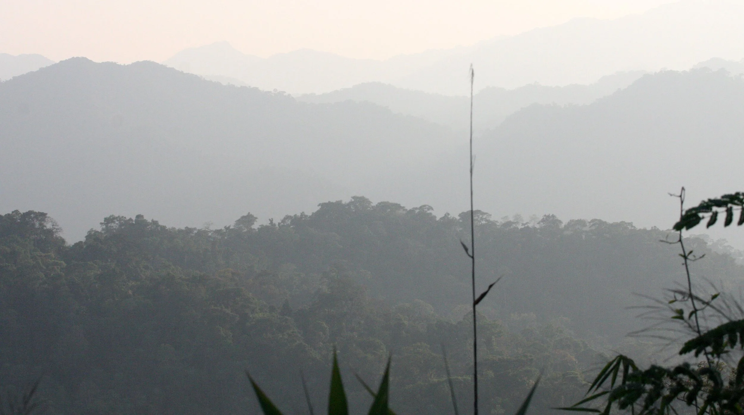 KAENG KRACHAN NATIONAL PARK THAILAND - FOREST SCENES (17).JPG