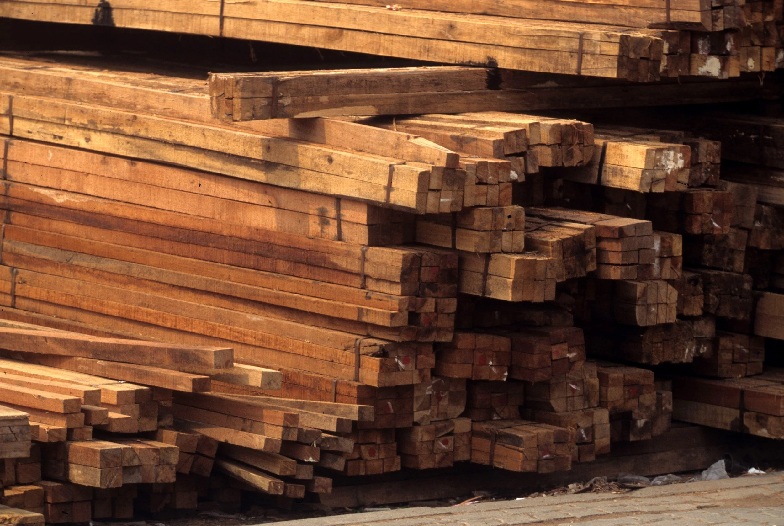 JAVA - TROPICAL HARDWOODS ON DOCKS A.jpg
