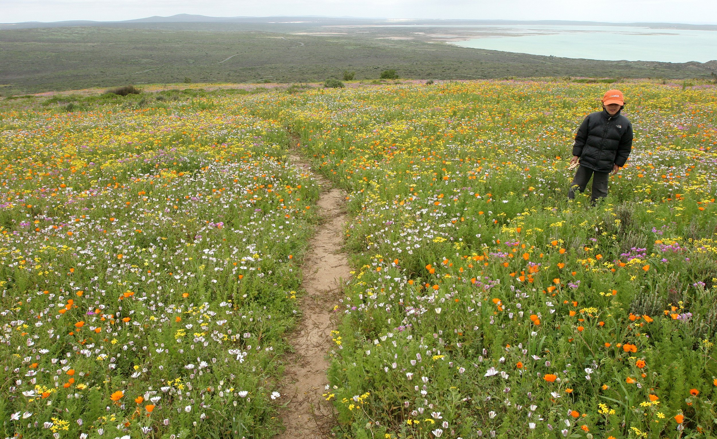 WEST COAST NATIONAL PARK SOUTH AFRICA - VIEWS OF (8).JPG
