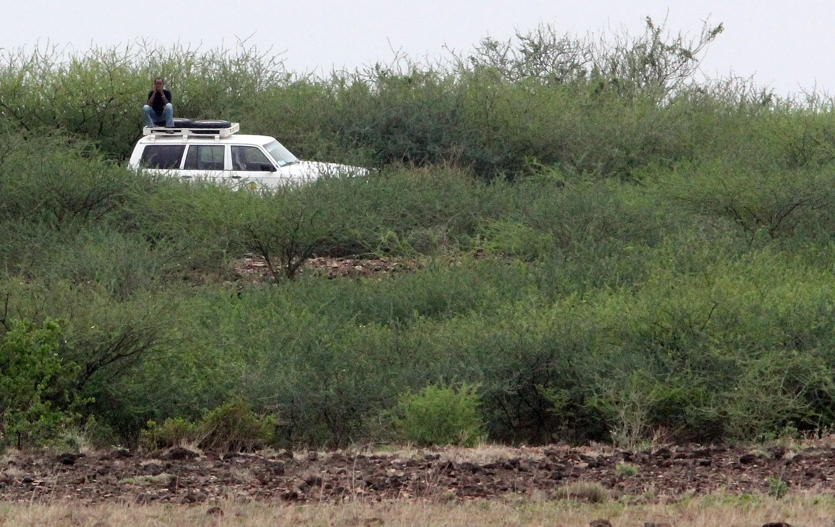 ALI DEGE PLAINS ETHIOPIA (1).JPG