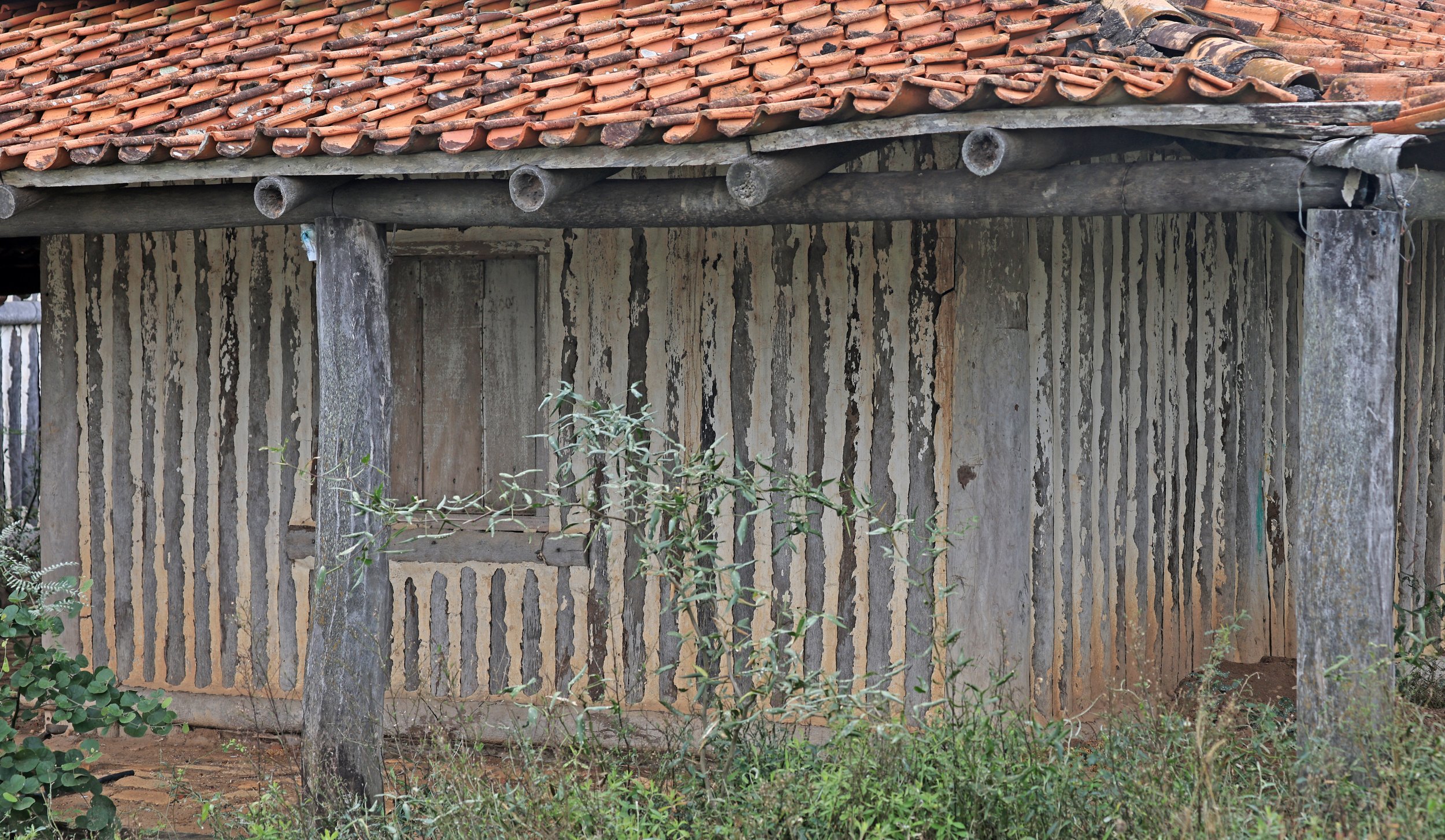Road from Asuncion to Iparoma Paraguay (26).jpg