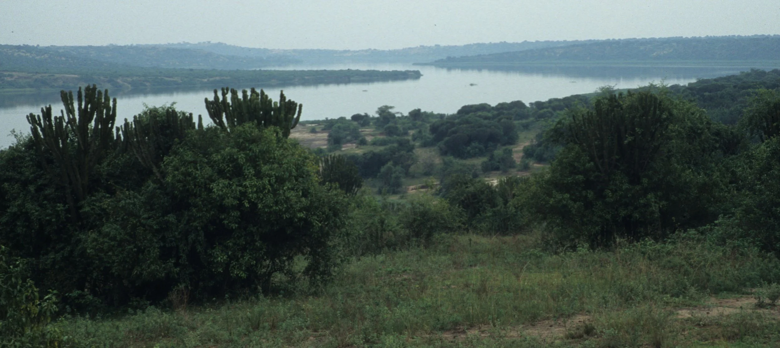 UGANDA - QE PARK.jpg