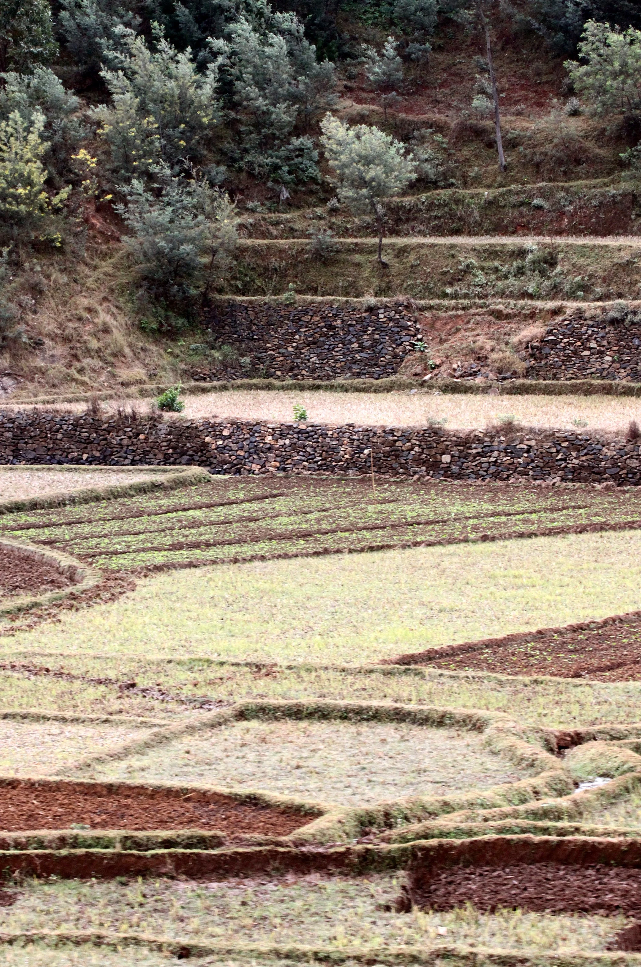 CENTRAL HIGHLANDS - ROAD TO RANOMAFANA (25).JPG