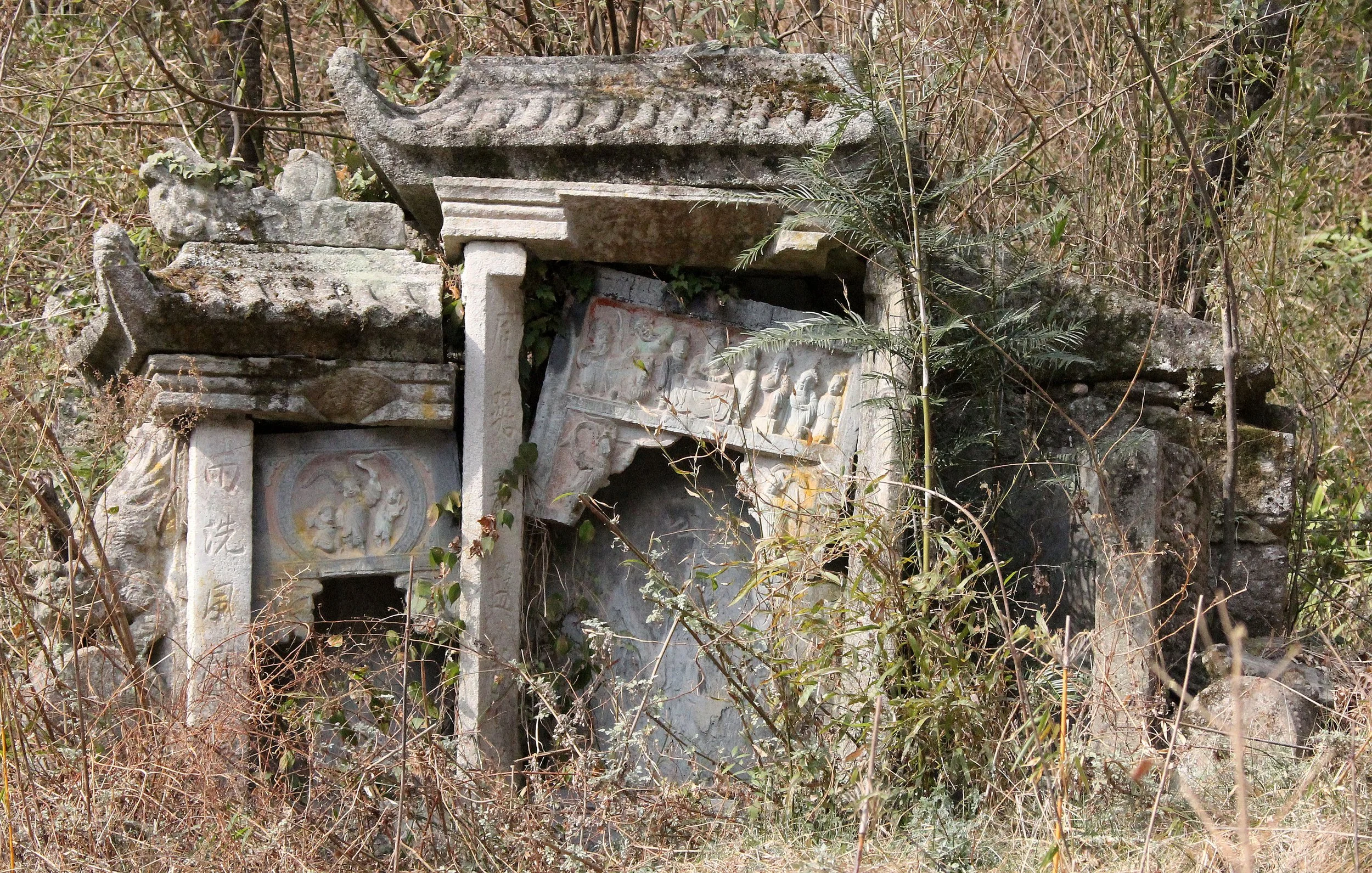 TANGJIAHE NATURE RESERVE, SICHUAN CHINA (52).JPG