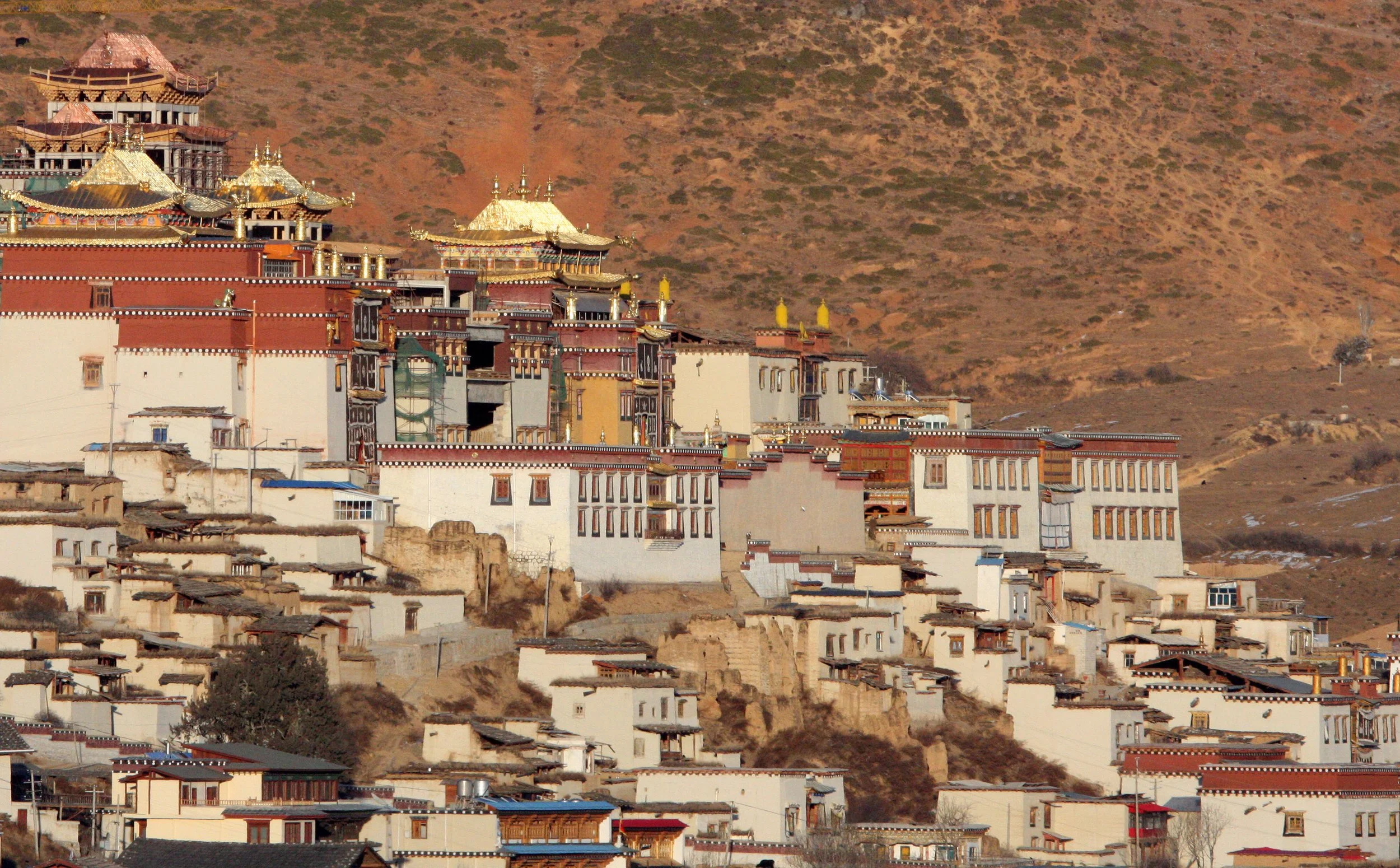 YUNNAN - SHANGRI LA - SONGZHANLIN TEMPLE (4).JPG