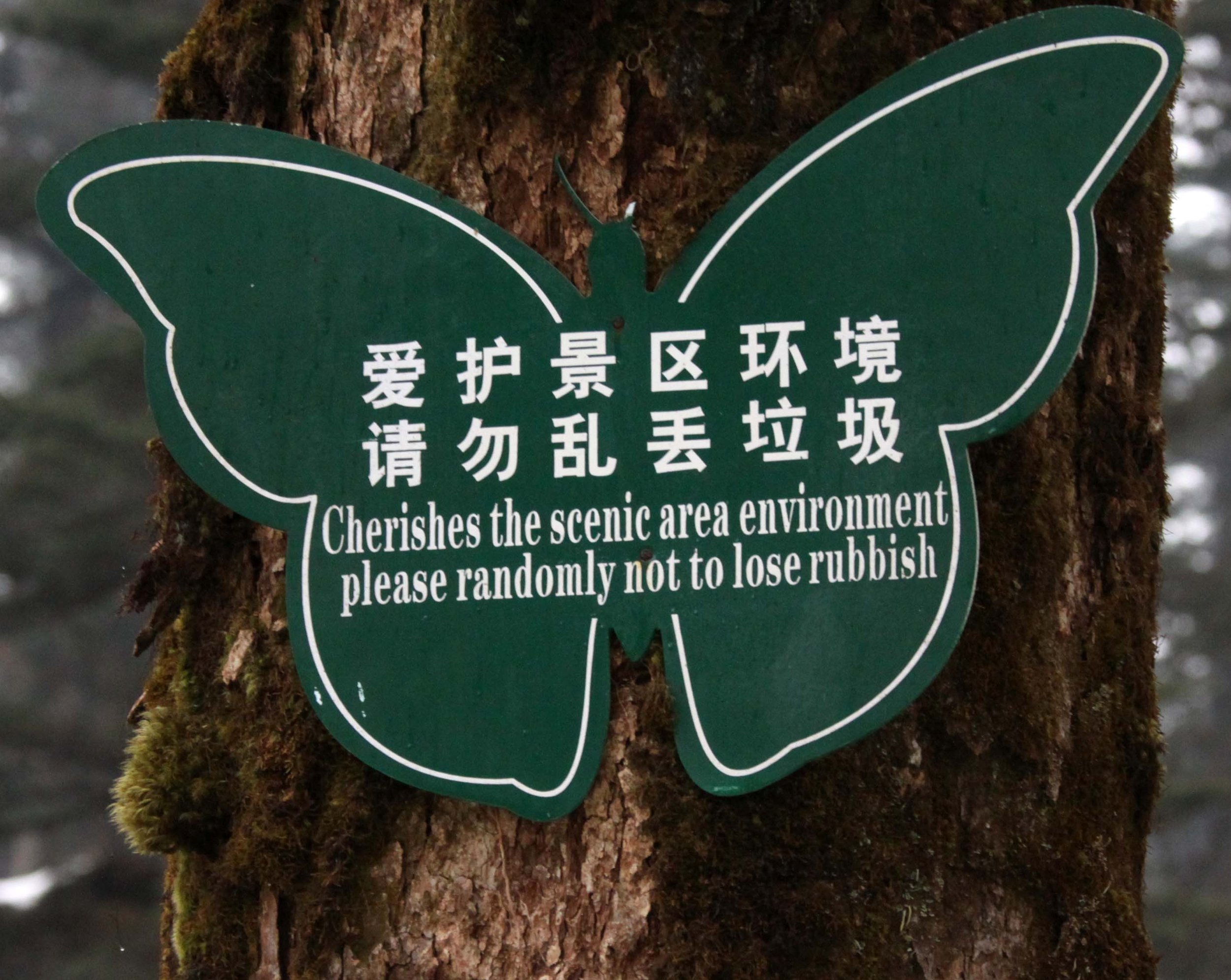 WAWU SHAN GEOPARK - SICHUAN CHINA (26).JPG