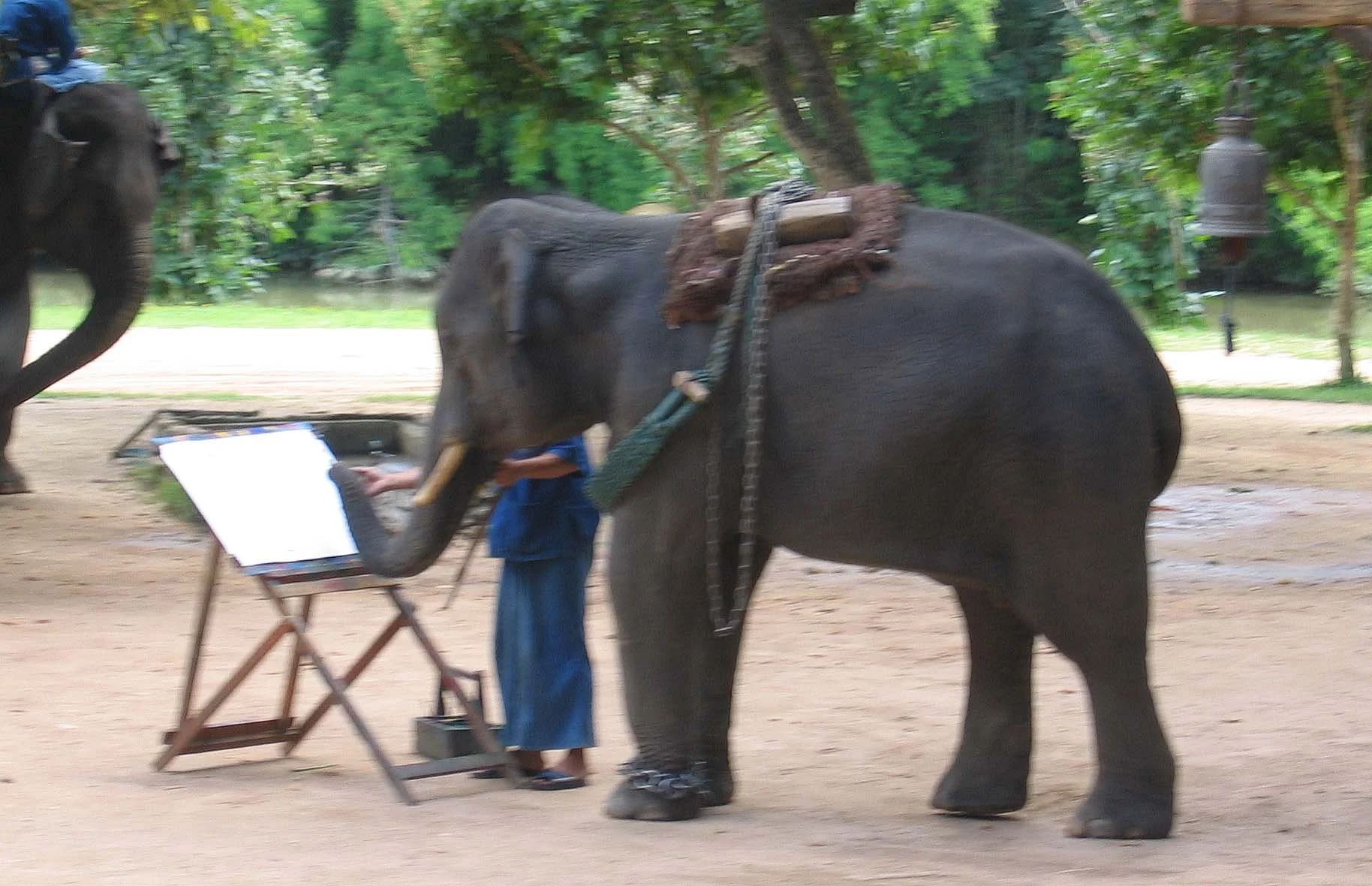 2008 Lampang City & Elephant Center (141).jpg