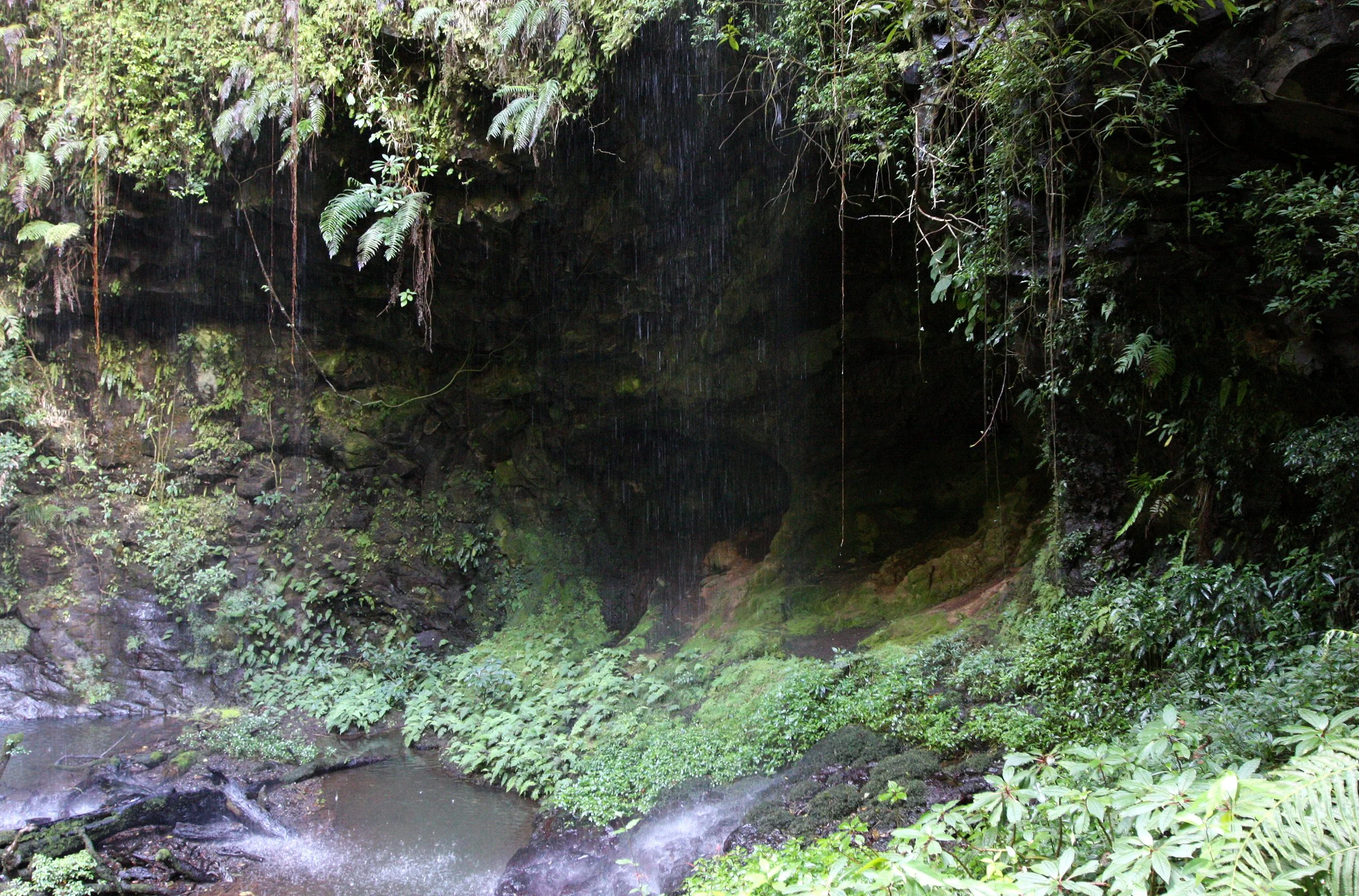 MONTAGNE D'AMBRE NATIONAL PARK - SACRED FALLS (13).JPG