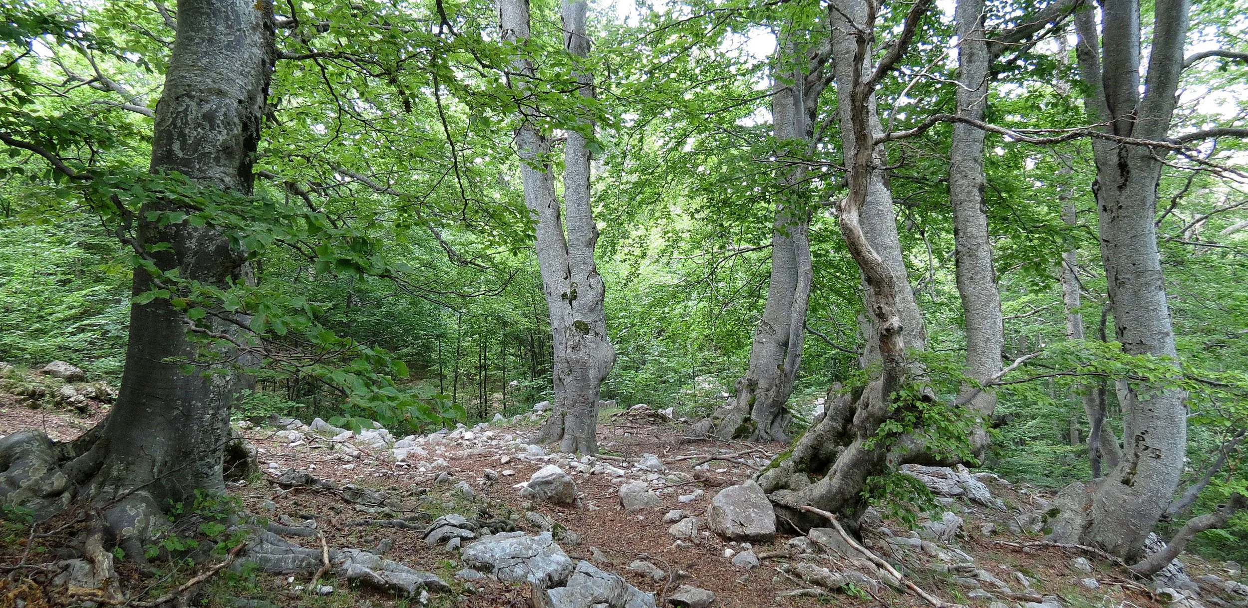 ABRUZZO NATIONAL PARK ITALY (36).JPG